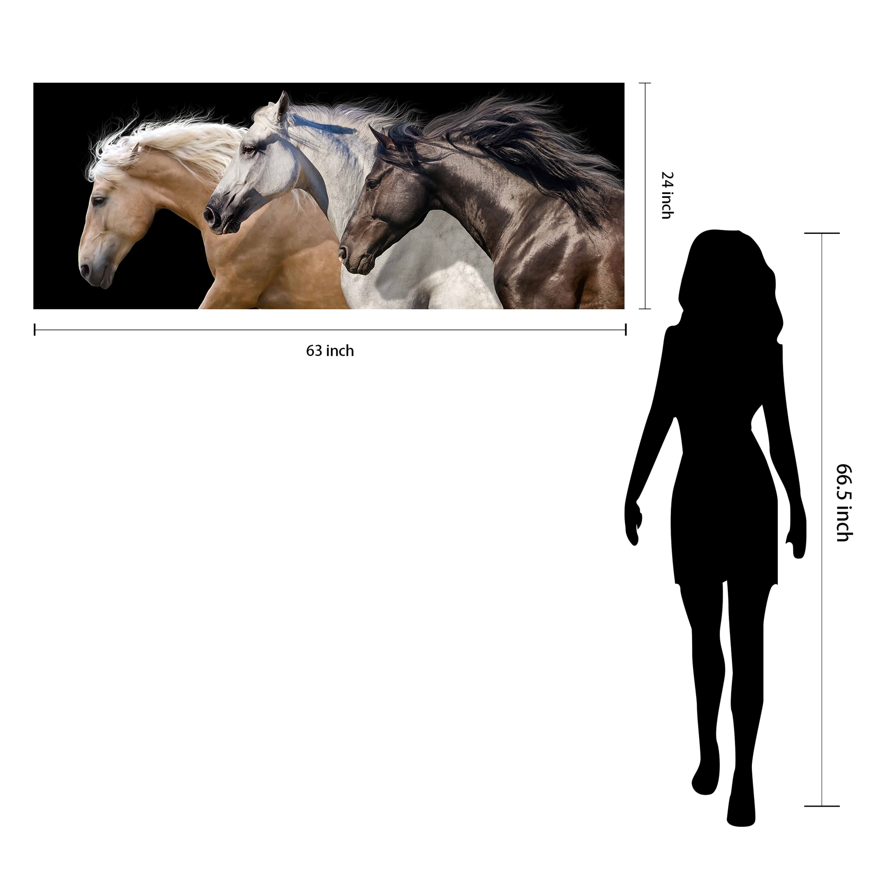 Empire Art Direct 24" x 63" Horse Trilogy 2 Frameless Free Floating Printed Tempered Glass Wall Art