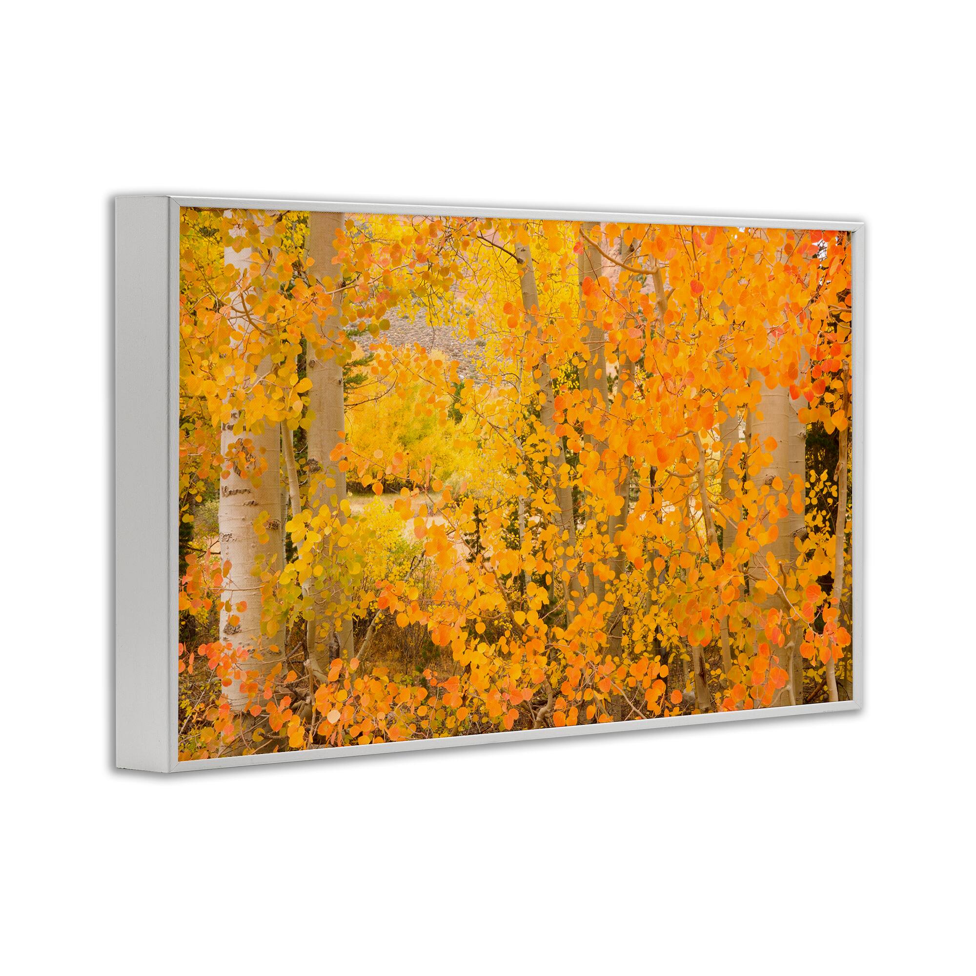 Stupell Industries Dense Birch Foliage Framed Giclee Art