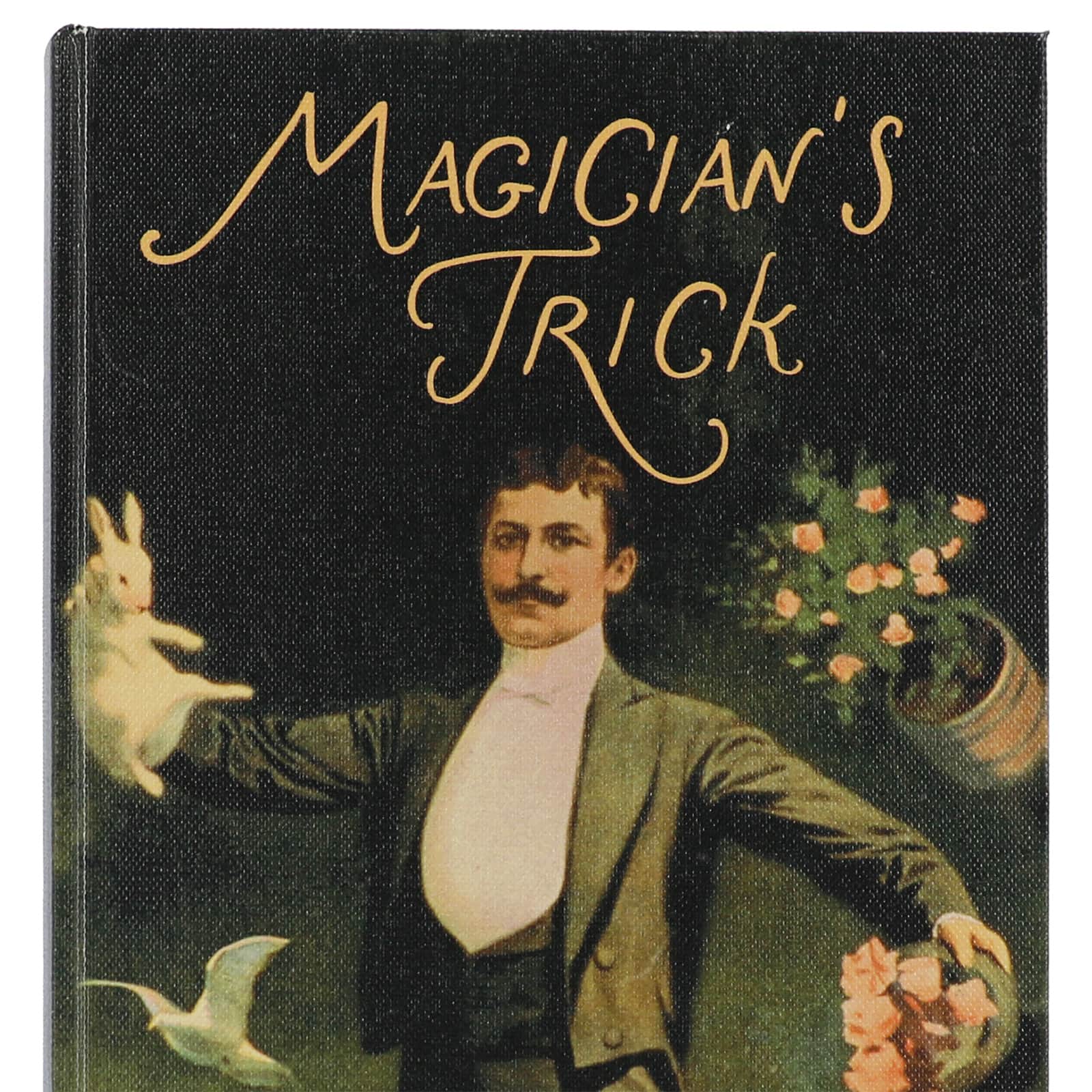 11" Magician's Trick Book Box Tabletop Décor by Ashland®