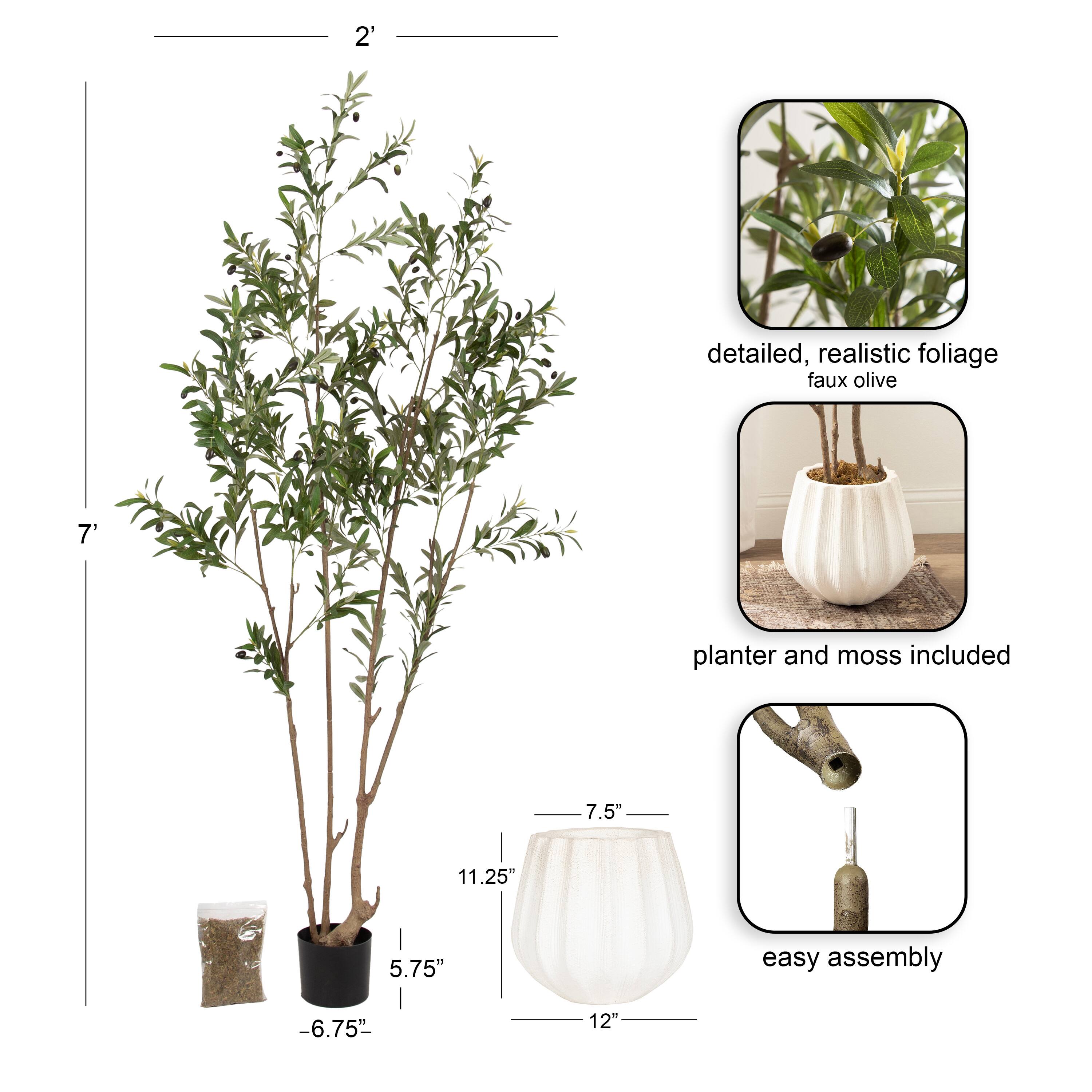 Kate and Laurel 7ft. Oliveira Faux Olive Tree with Claudel Scalloped Planter