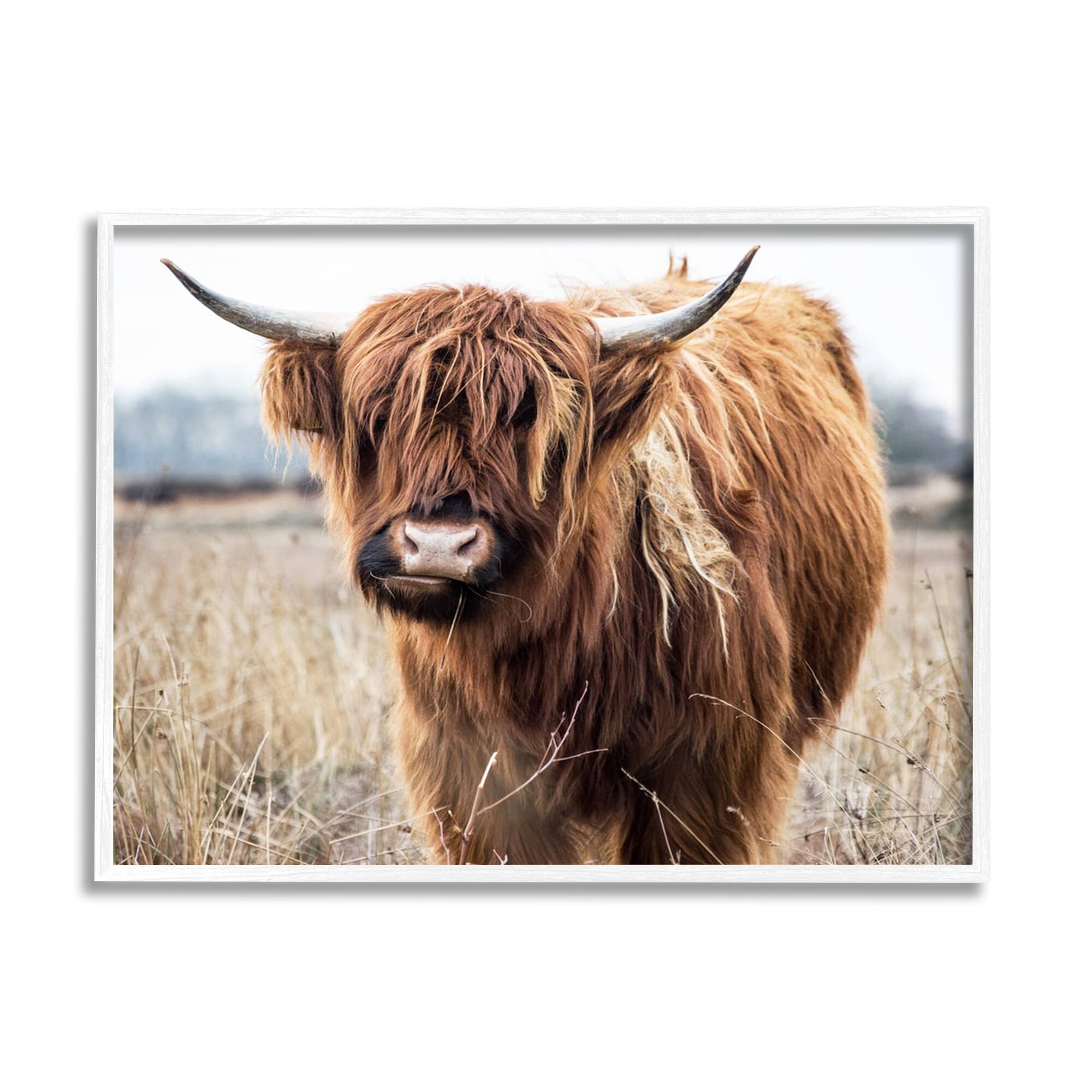 Stupell Industries Grazing Longhorn Cattle Farmland Animal Portrait Framed Giclee Art