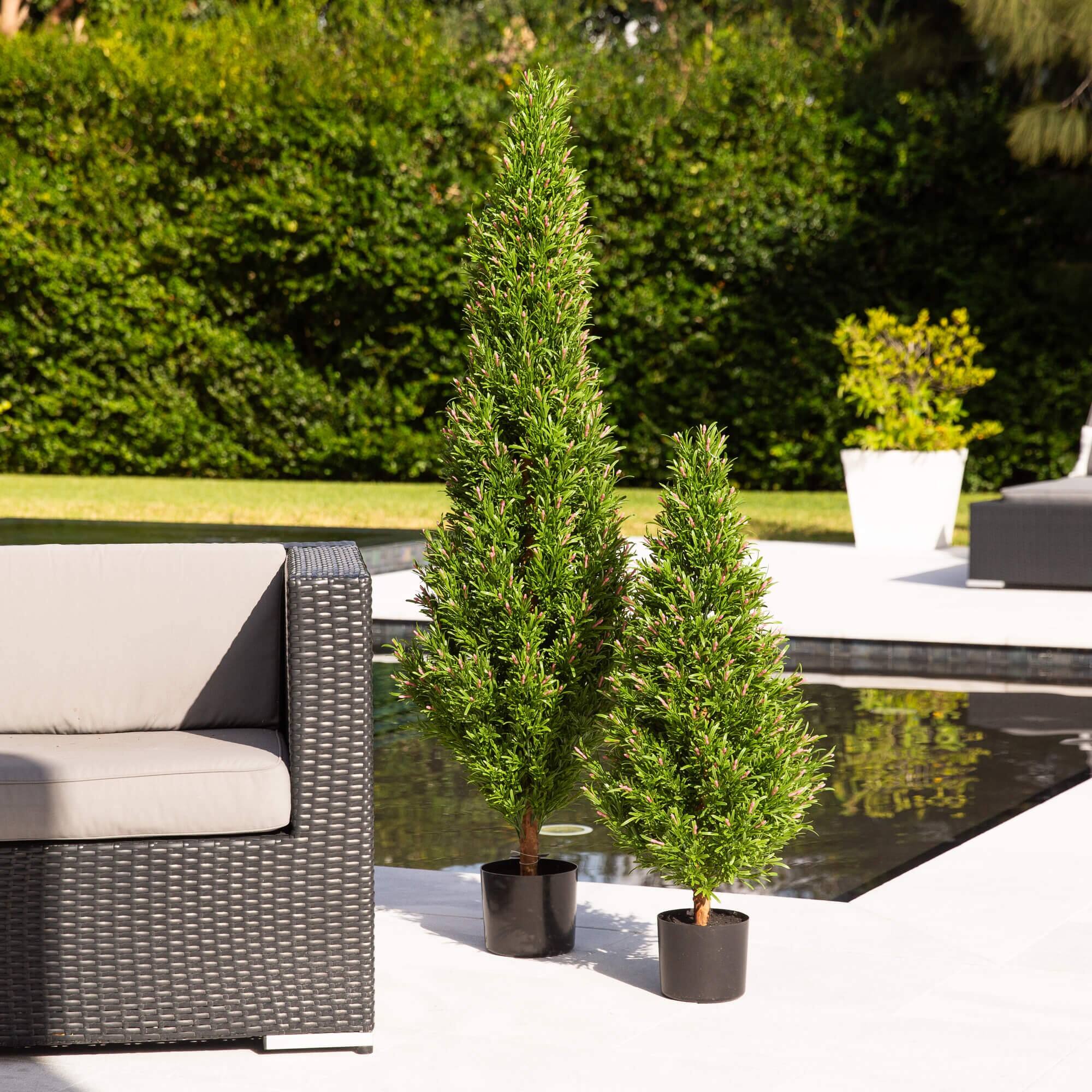 5ft. Potted UV Resistant Rosemary Cone Topiary Tree