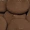 Melt Craft™ Cocoa Candy Wafers