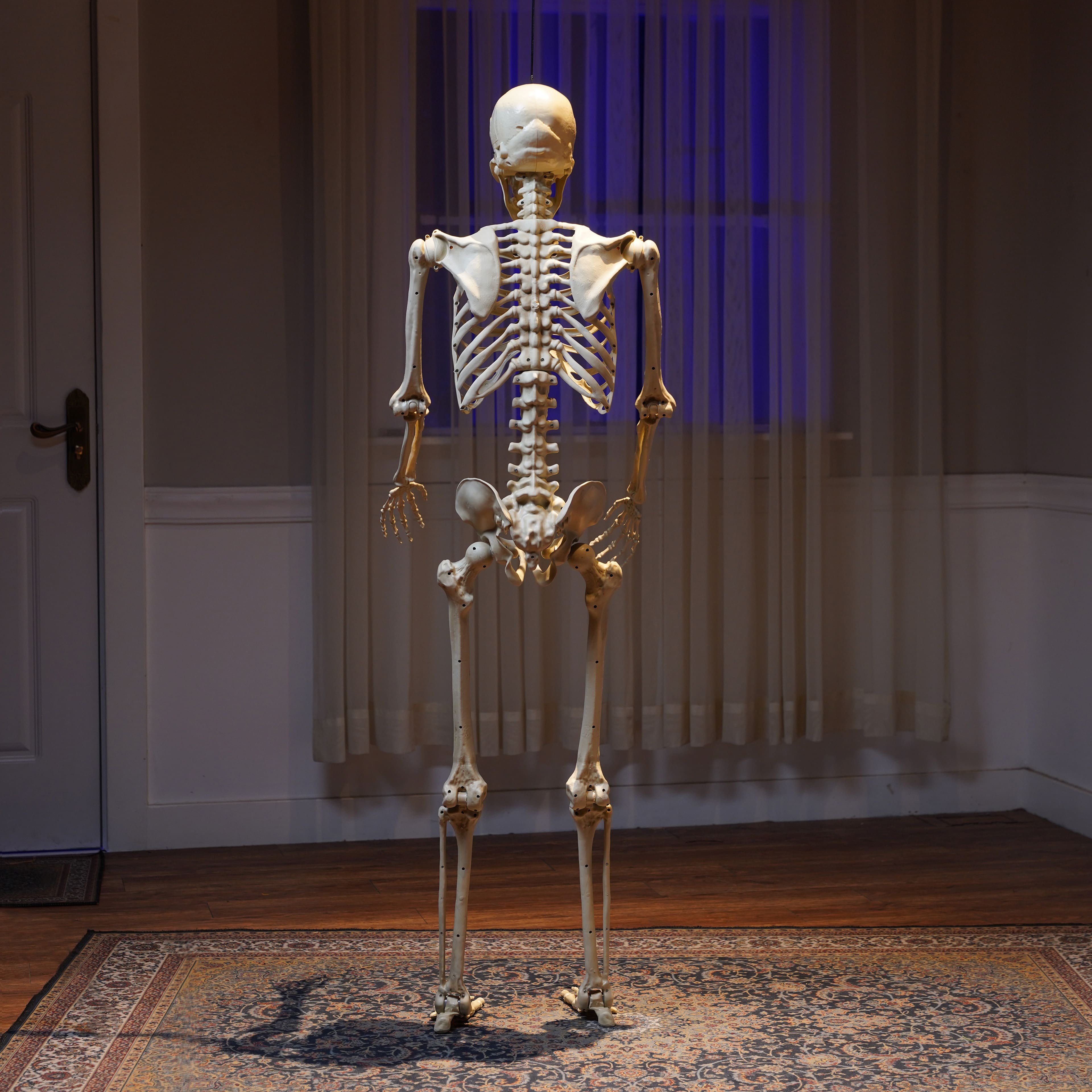 5ft. Light Up Eyes Skeleton by Ashland®