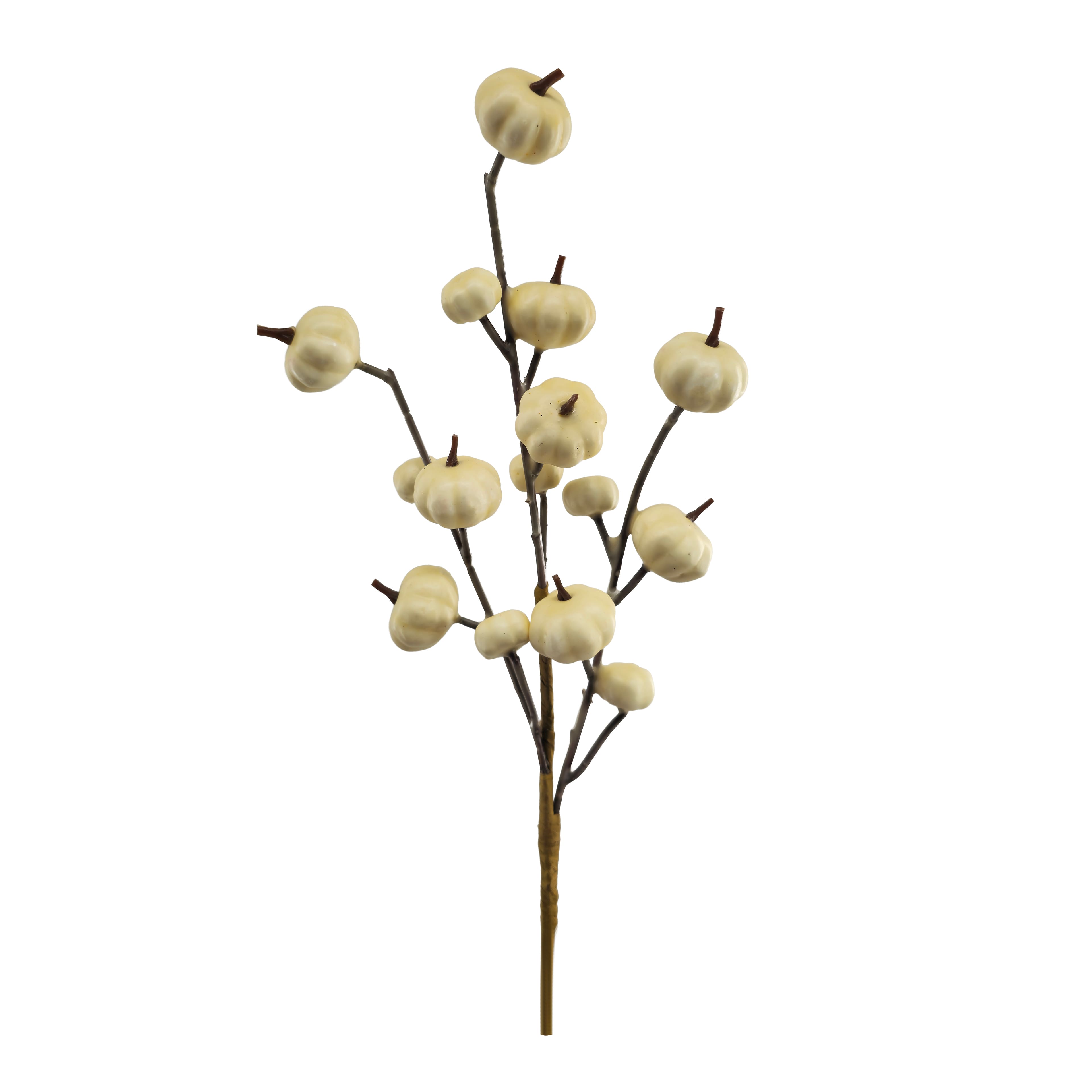 12" Cream Mini Pumpkin Pick by Ashland®