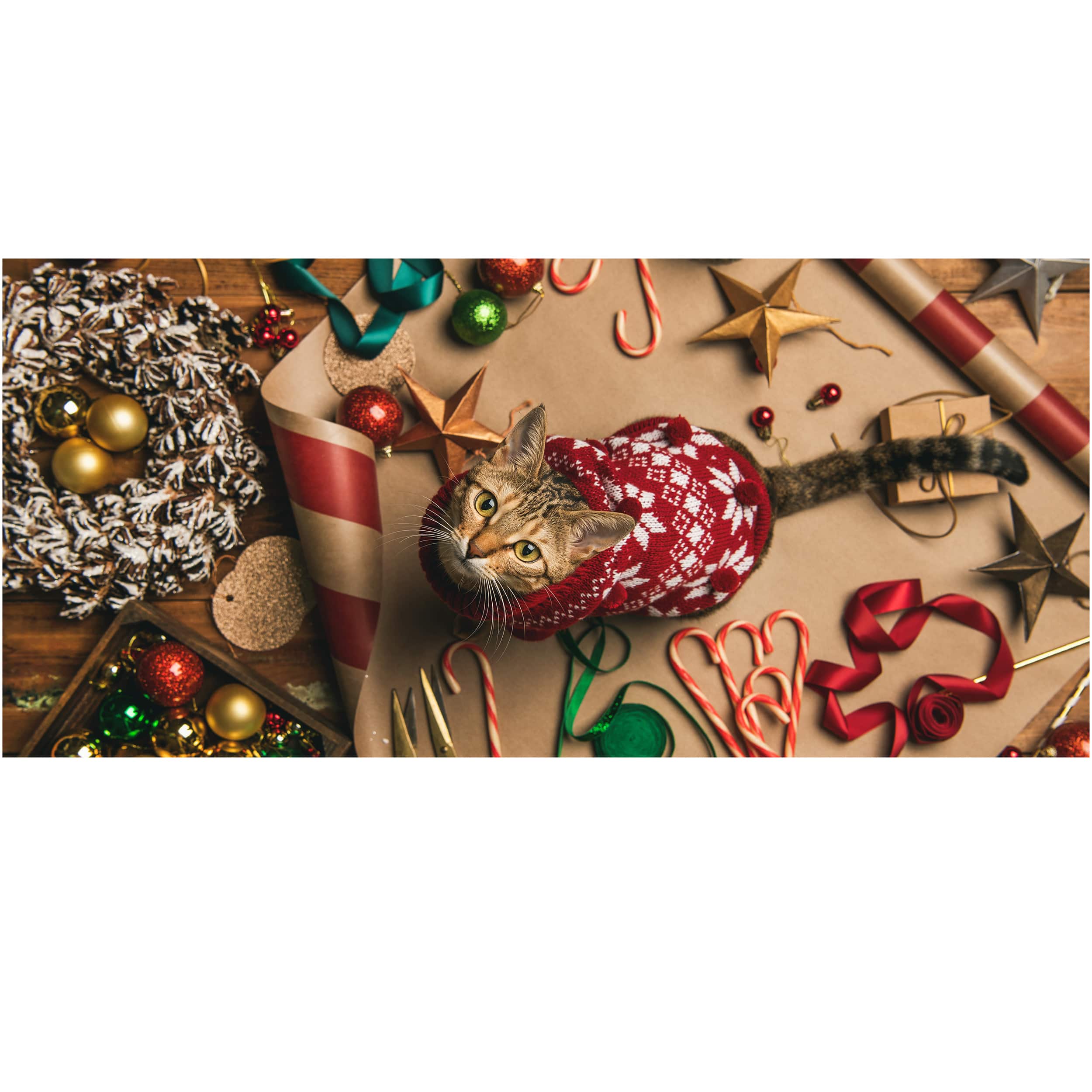 Sparkly Selections Christmas Cat Round Counted Cross Stitch Kit