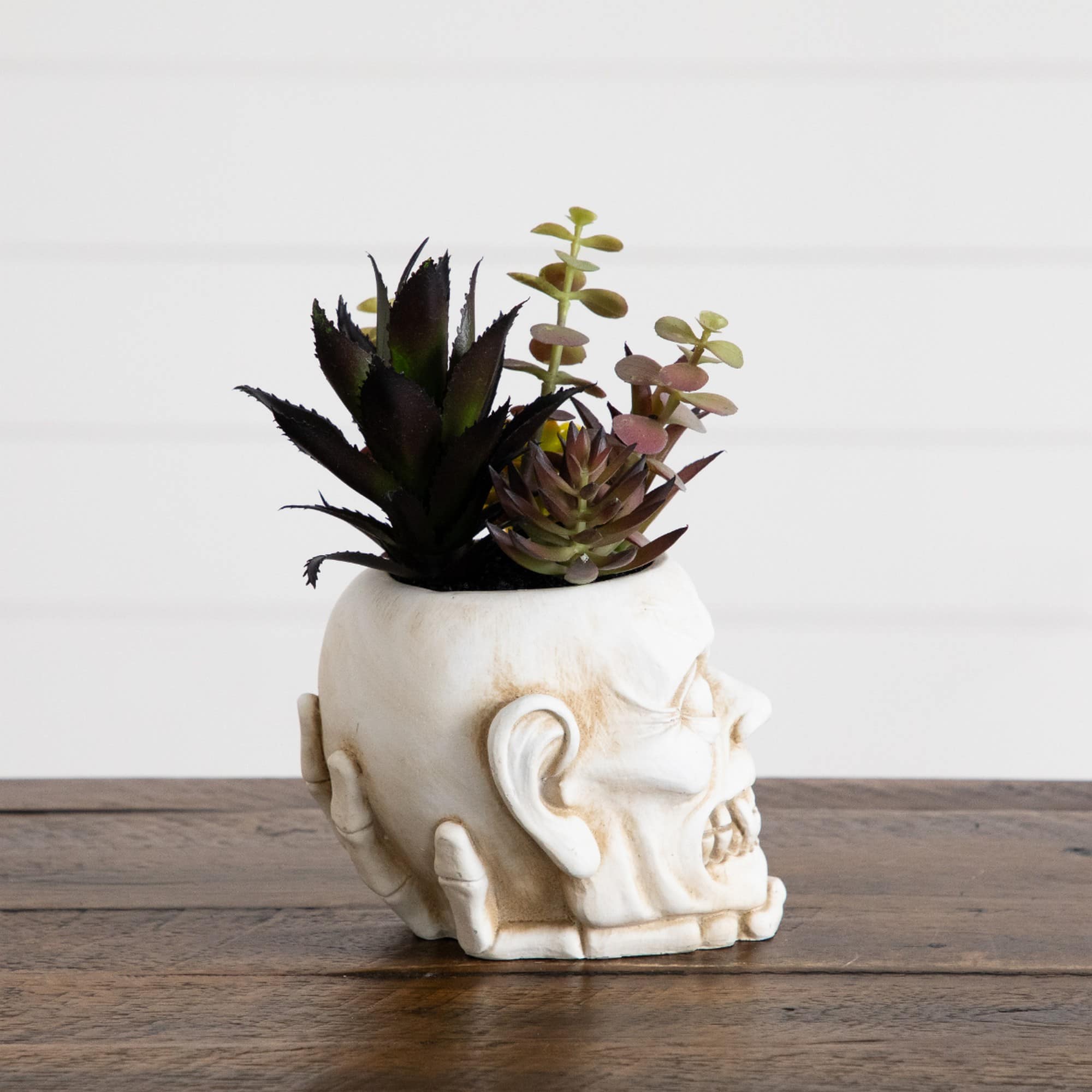 8" Artificial Halloween Succulent Garden in Zombie Halloween Planter