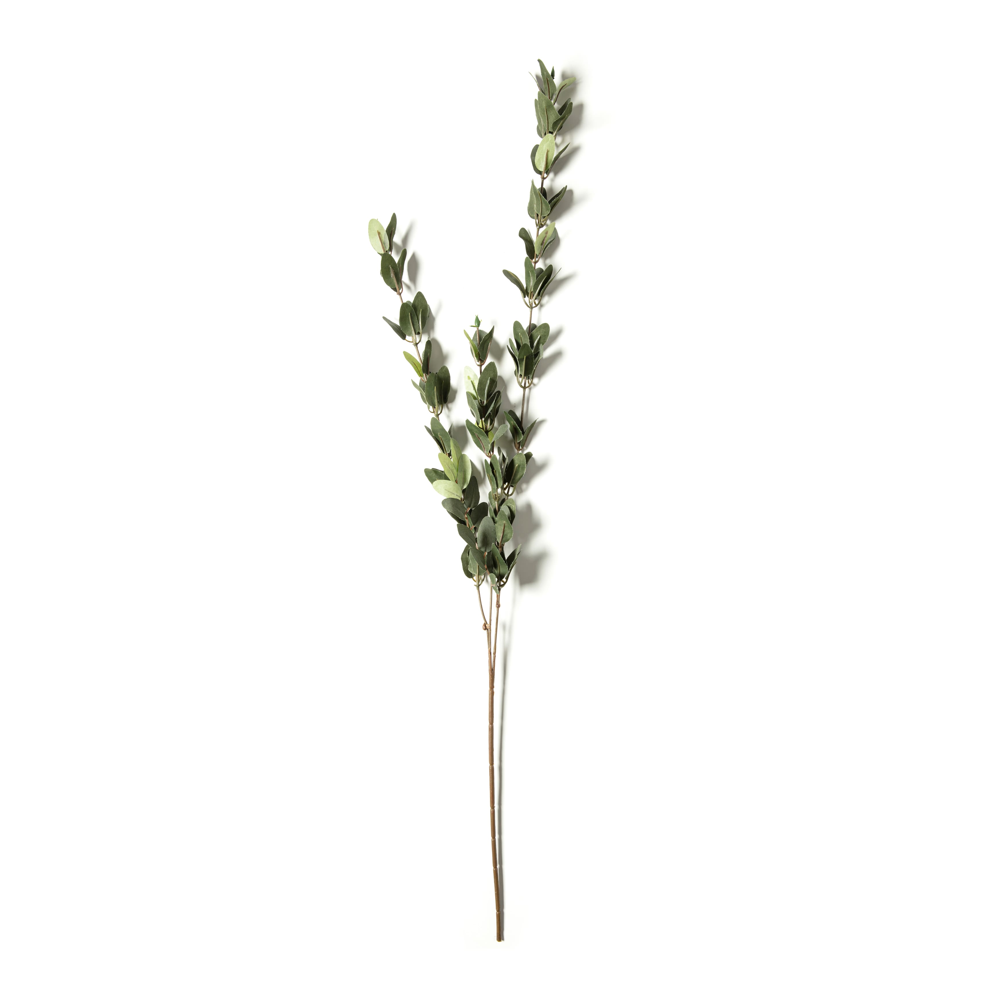 Huckleberry Leaf Spray by Ashland®