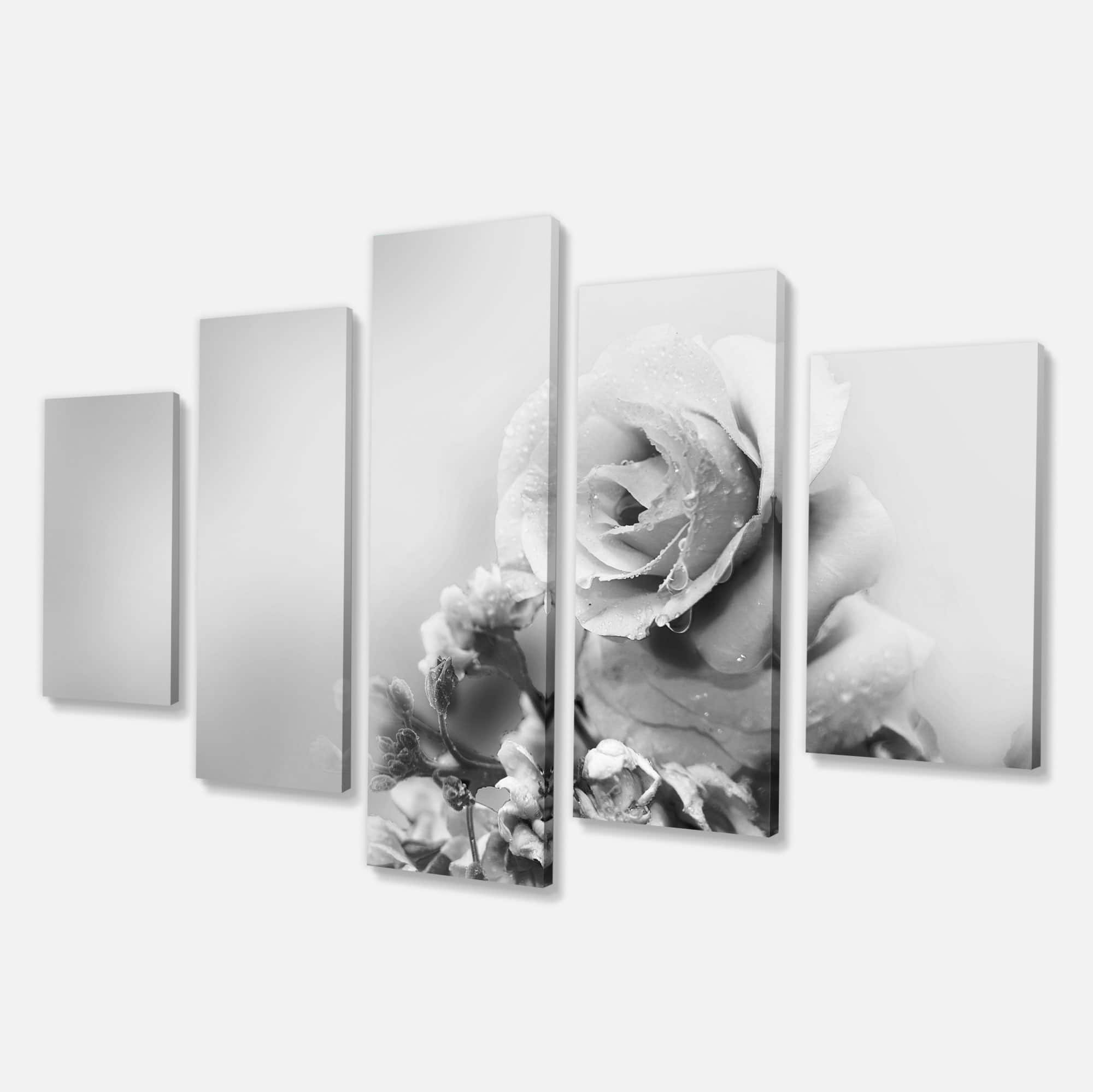 Designart - Black and White Rose in Spring. - Large Floral Canvas Art Print