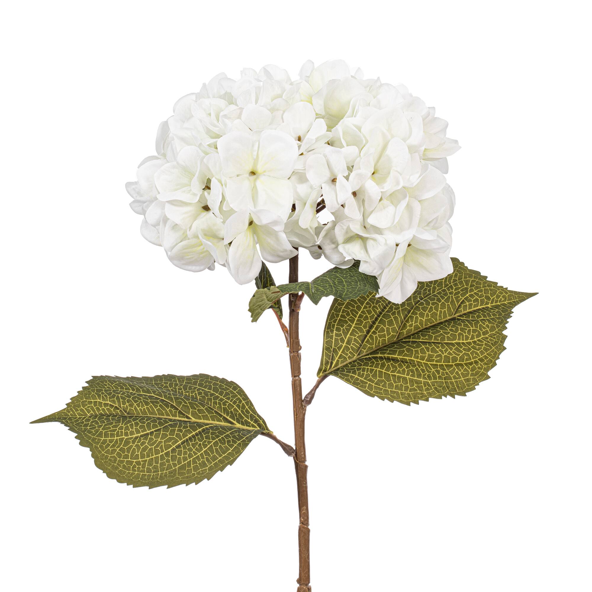 32.5" White Hydrangea Stems, 3ct.