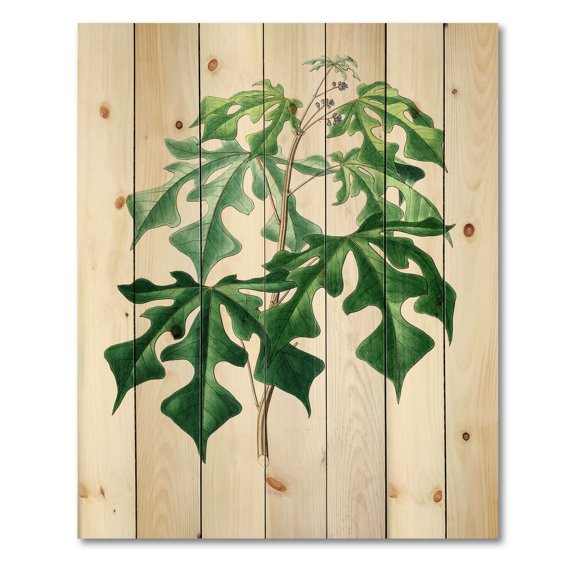 Designart - Vintage Green Leaves Plants II - Traditional Print on Natural Pine Wood