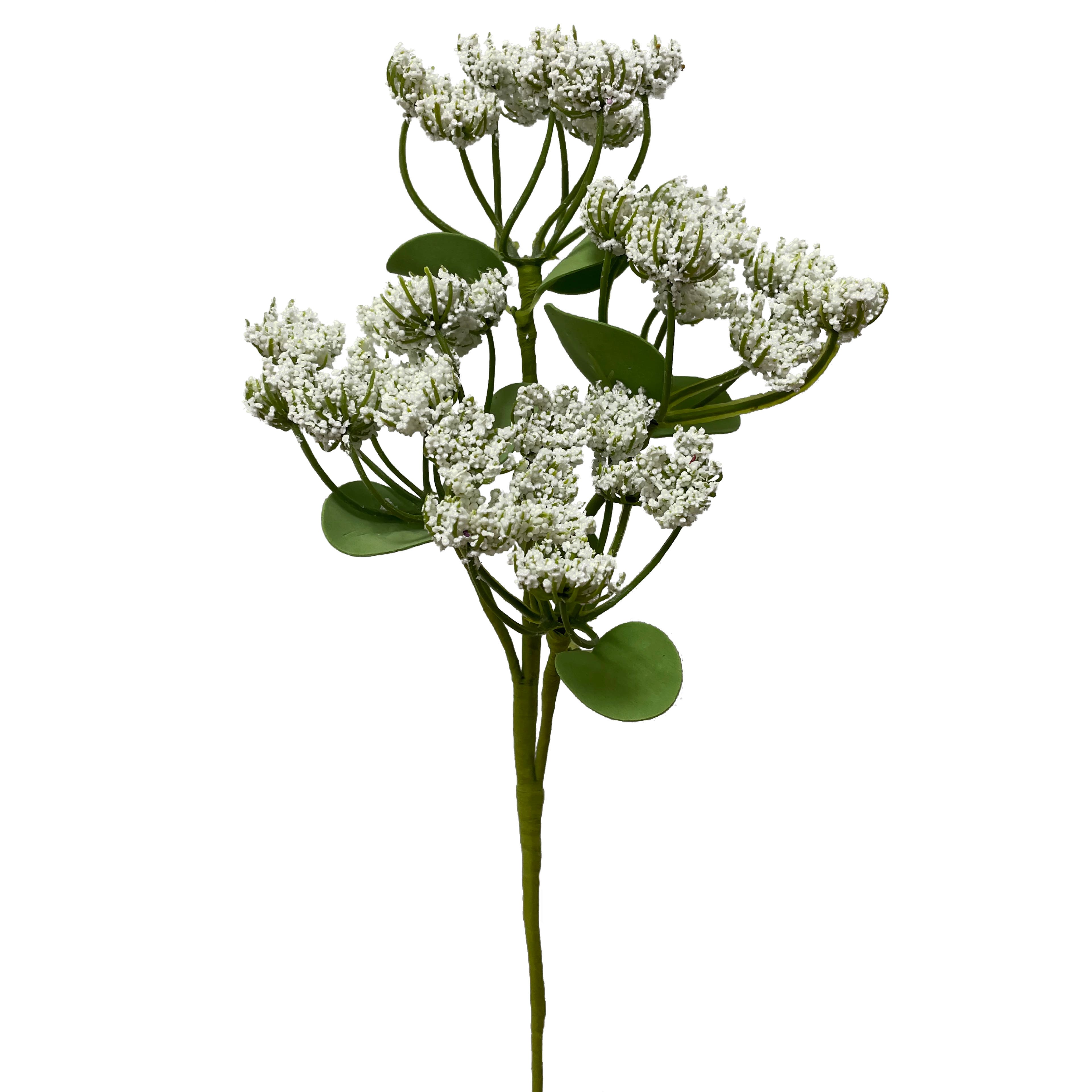 11.5" Queen Anne's Lace Pick by Ashland
