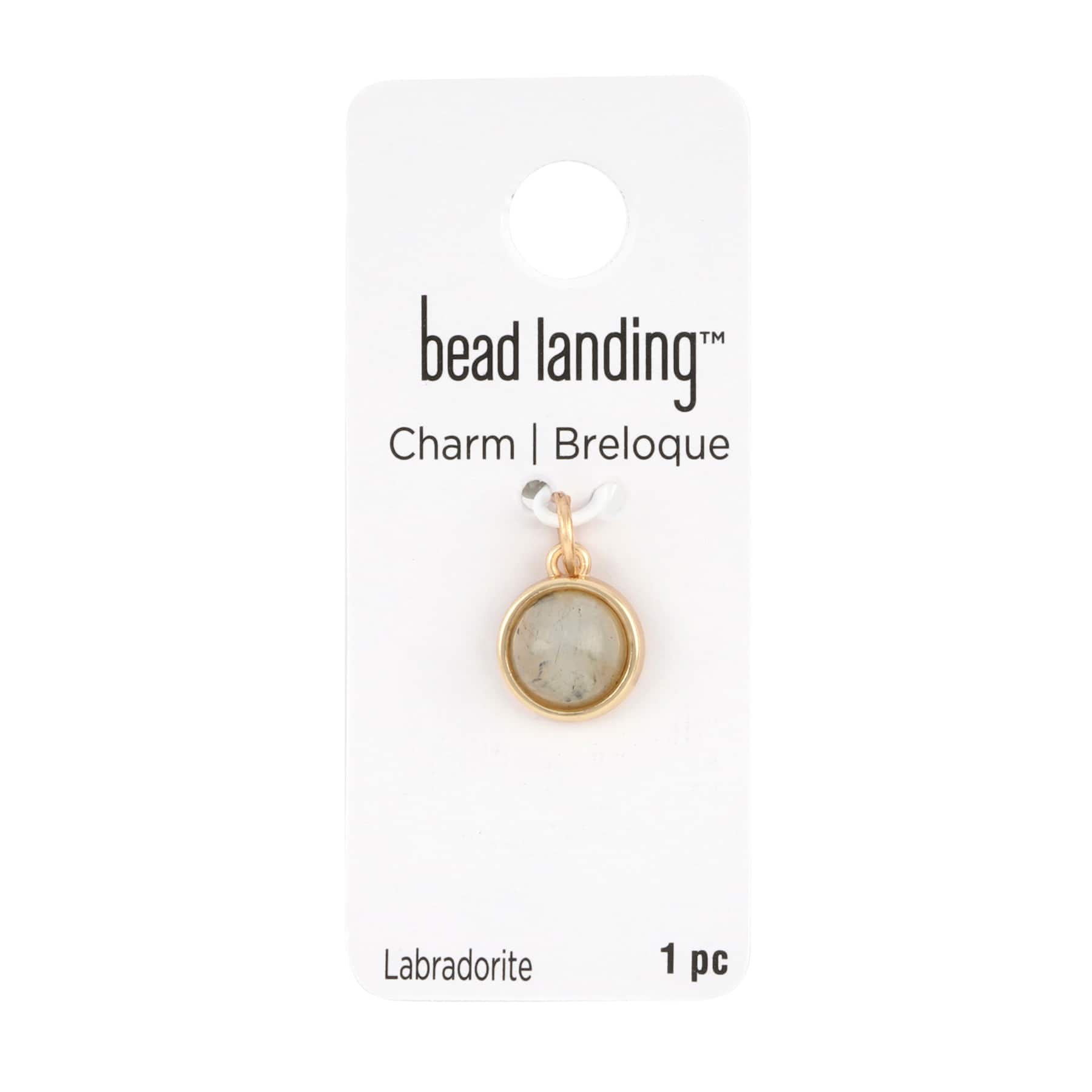 12 Pack: Round Labradorite Charm by Bead Landing™