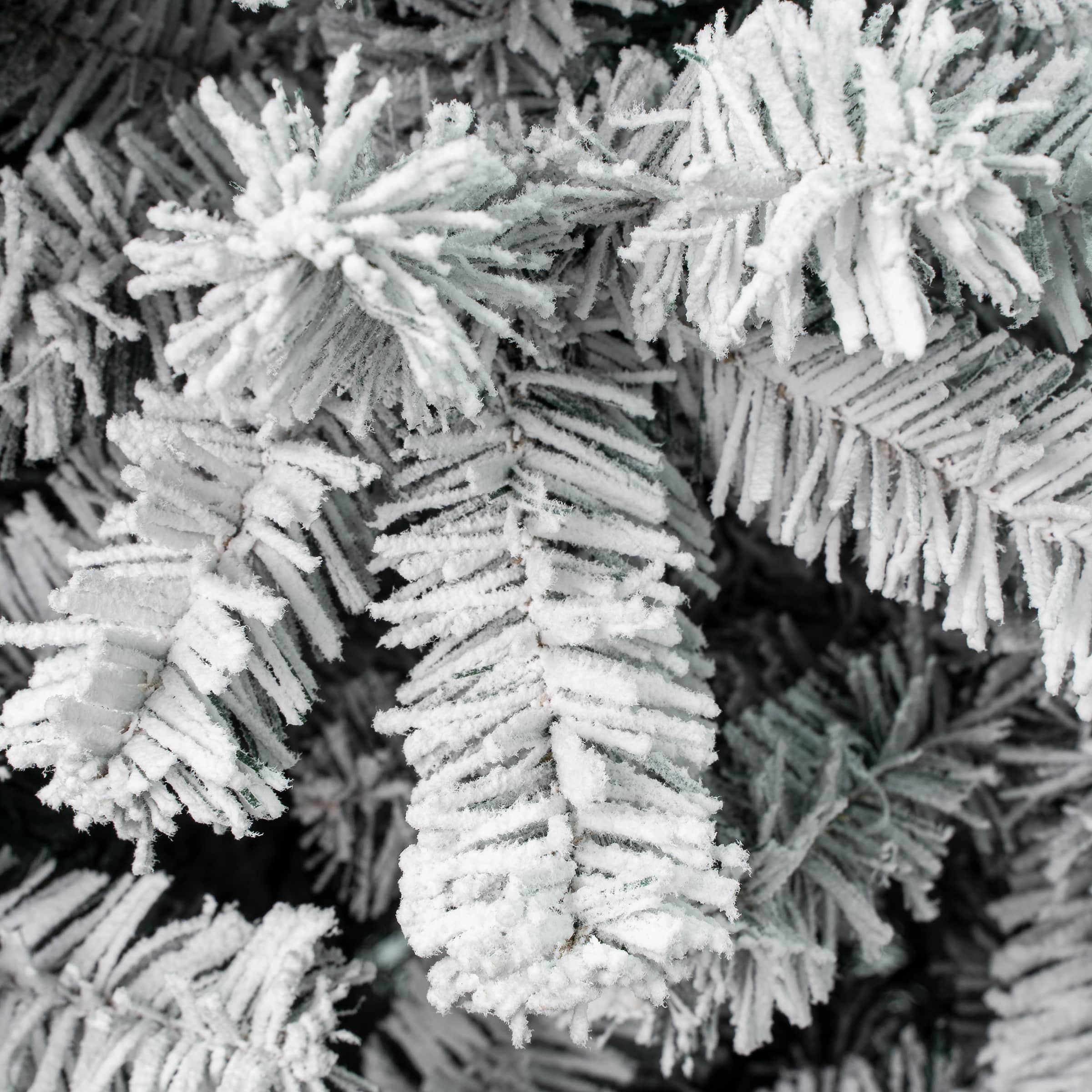 4.5ft. Unlit Flocked Acacia Artificial Christmas Tree