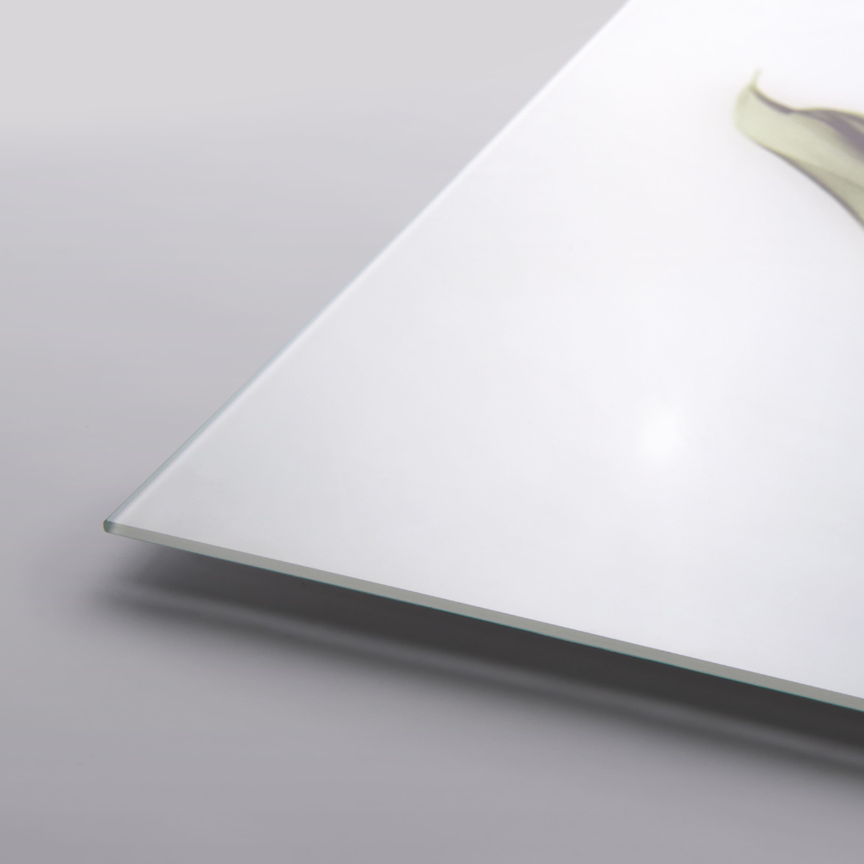 Empire Art Direct 24" x 48" Calla Lily Free Floating Tempered Glass Wall Art