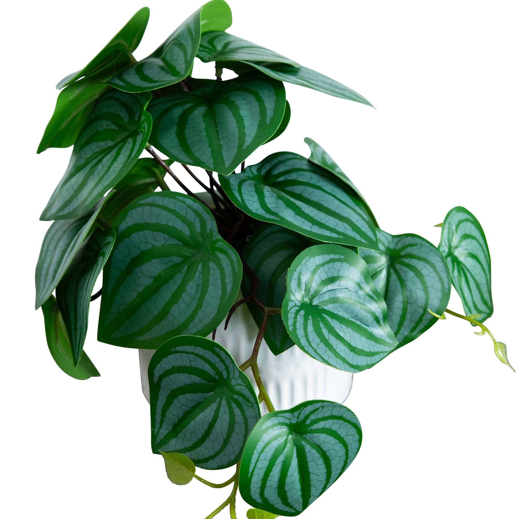 8" Mixed Greenery in Ceramic Planters Set