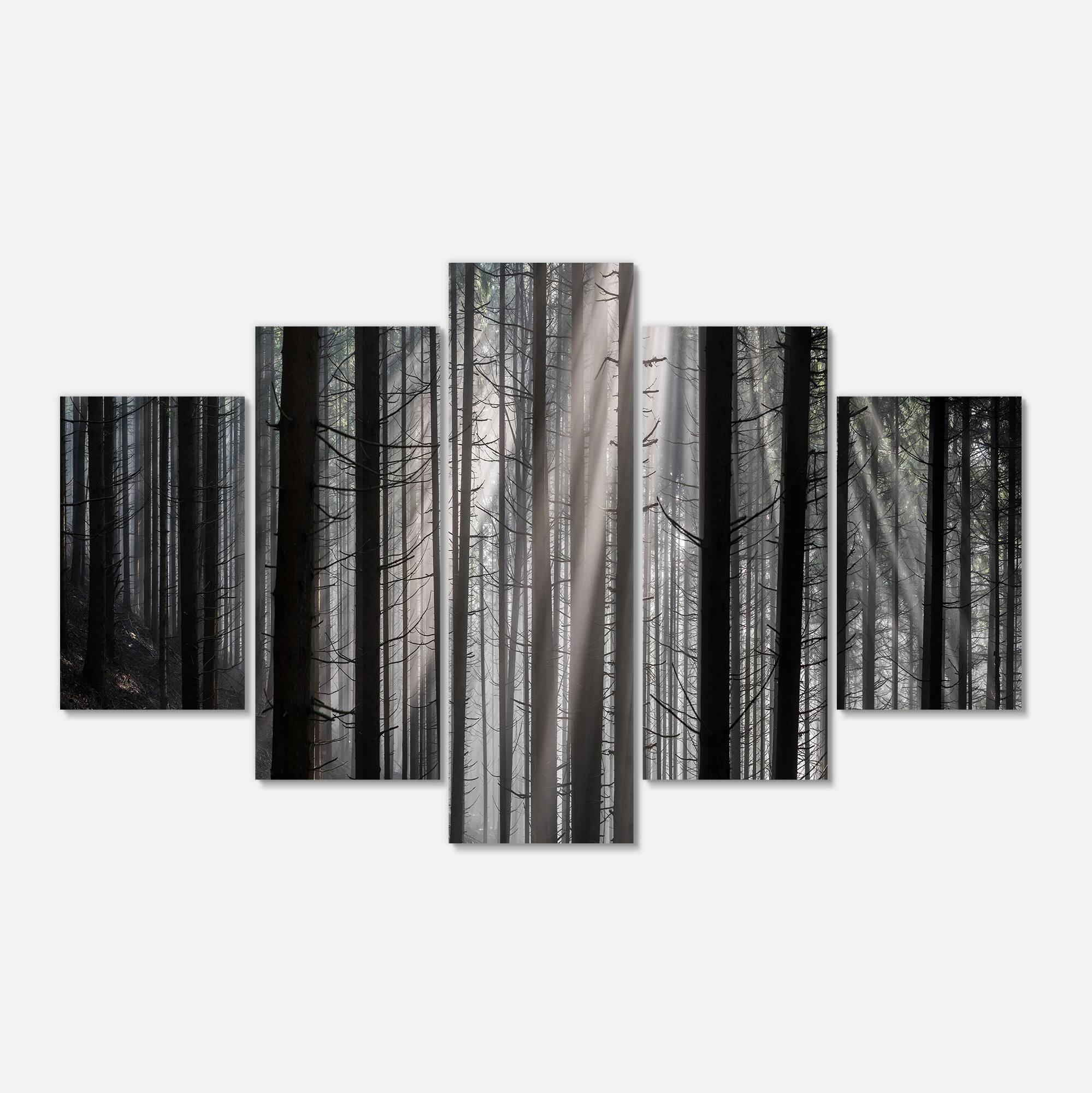 Designart - Sunbeams Peeking Through Dark Forest