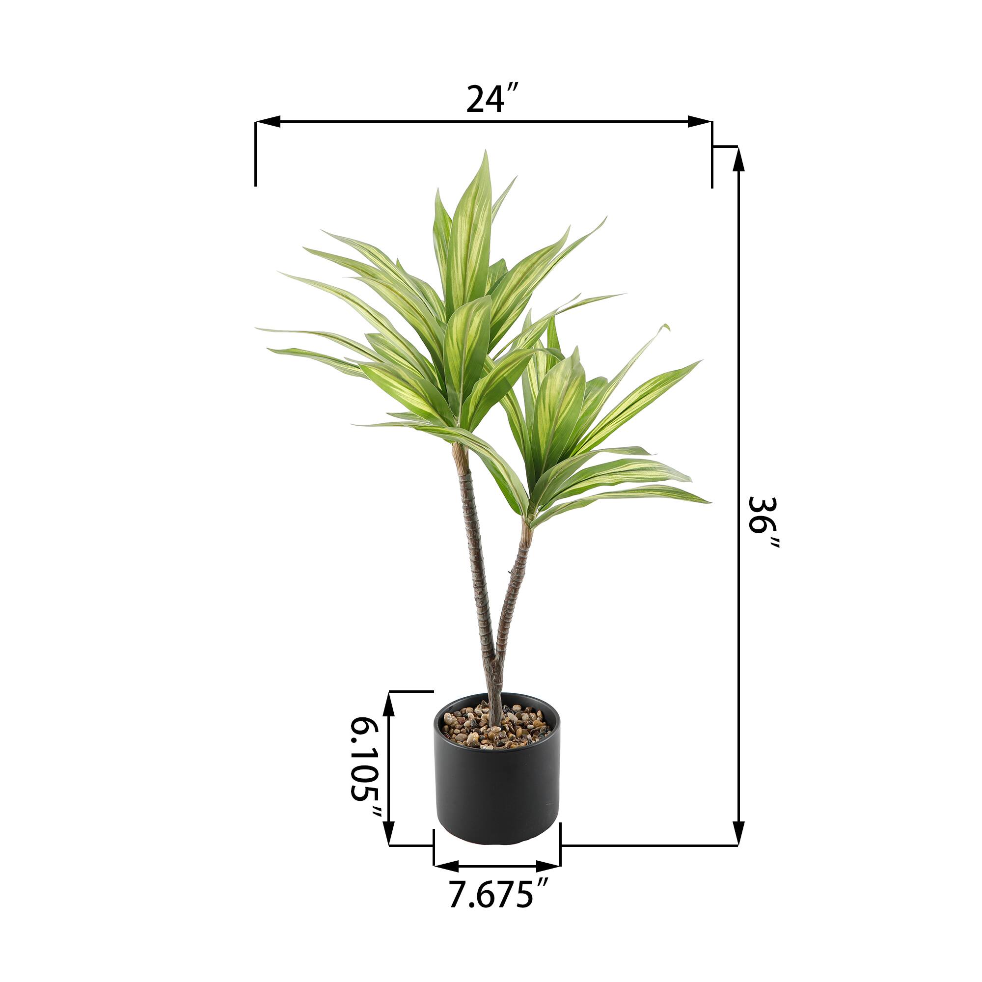 Flora Bunda® 3ft. Palm in Black Ceramic Planter
