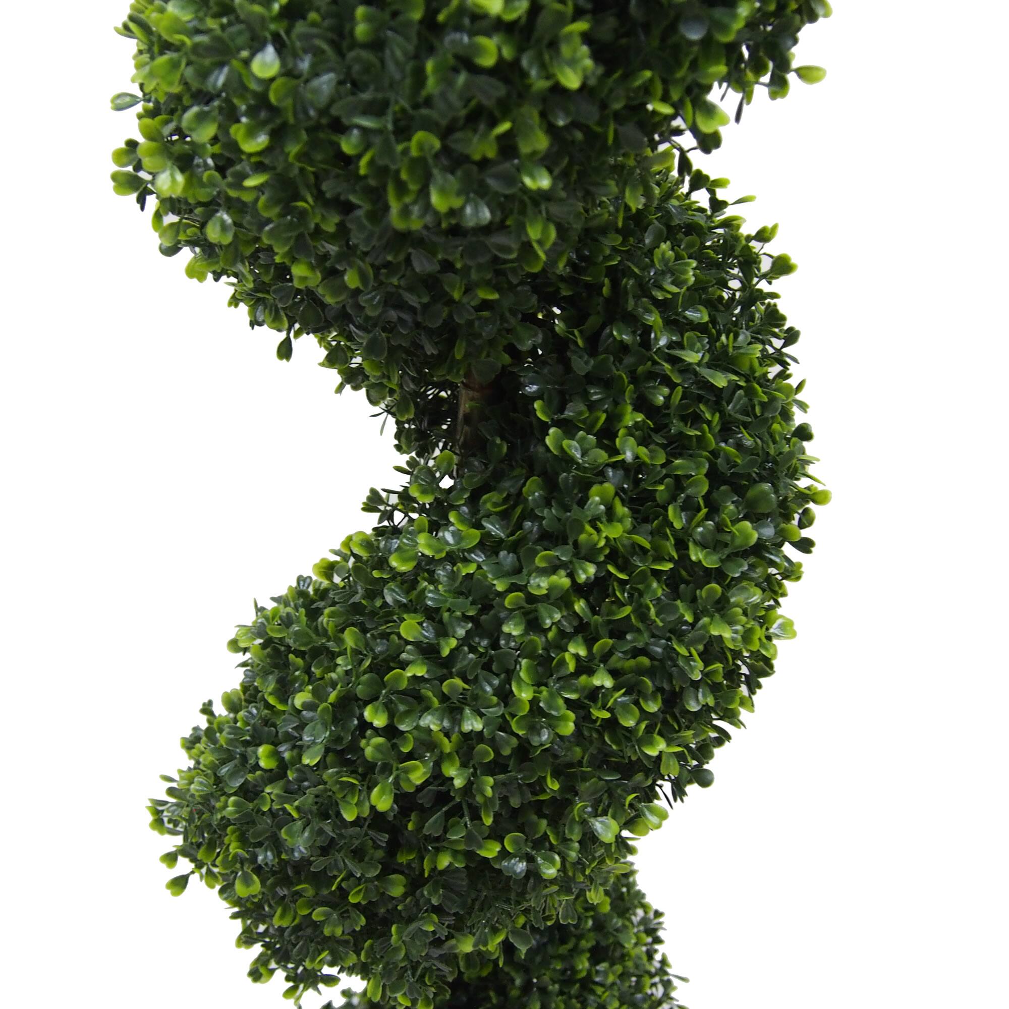6ft. Potted Boxwood Spiral Tree