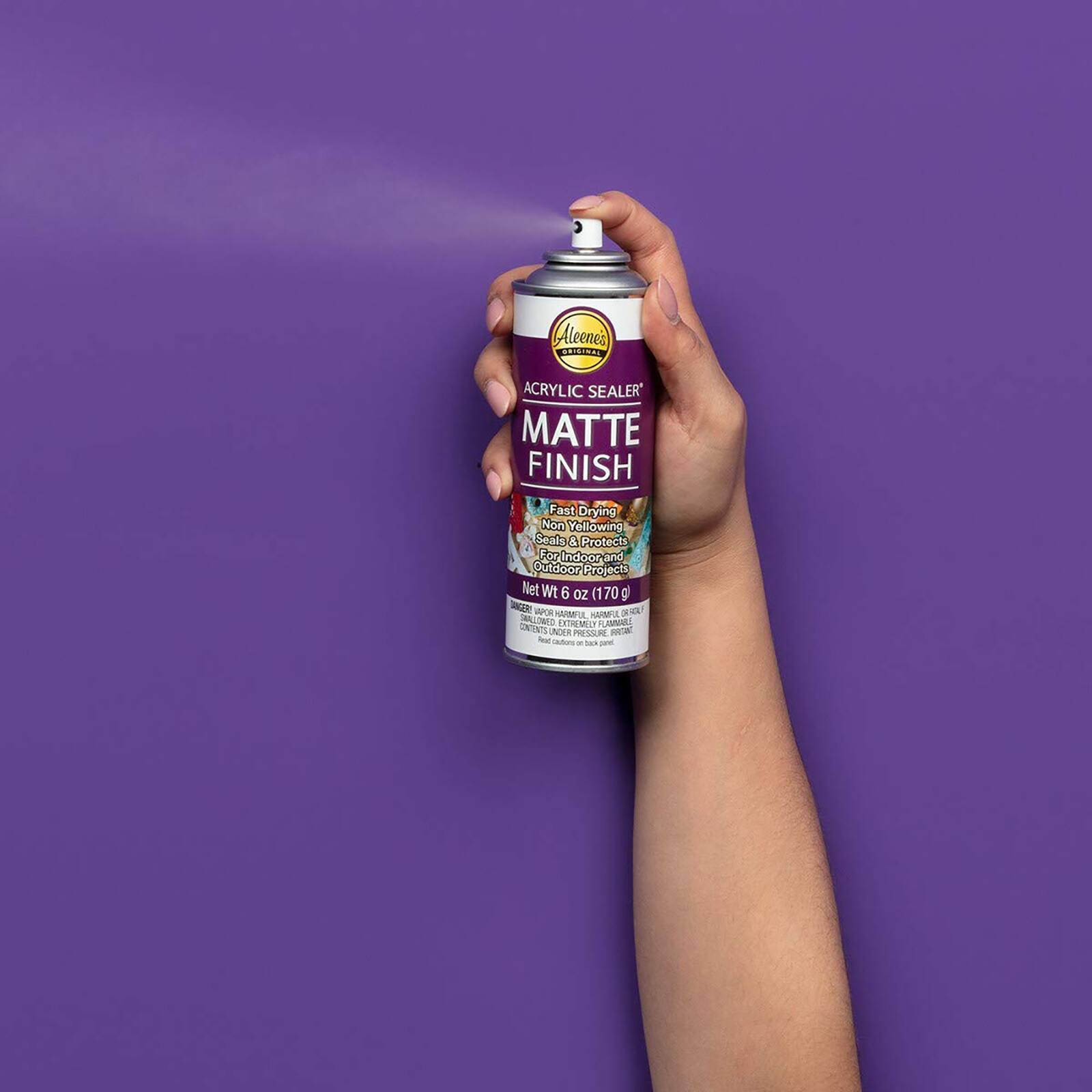 12 Pack: Aleene's® Spray Acrylic Sealer™ Matte Finish