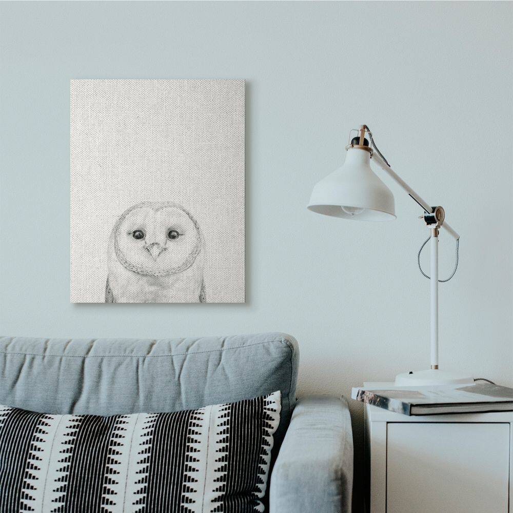 Stupell Industries Owl Portrait Grey Drawing Design Canvas Wall Art
