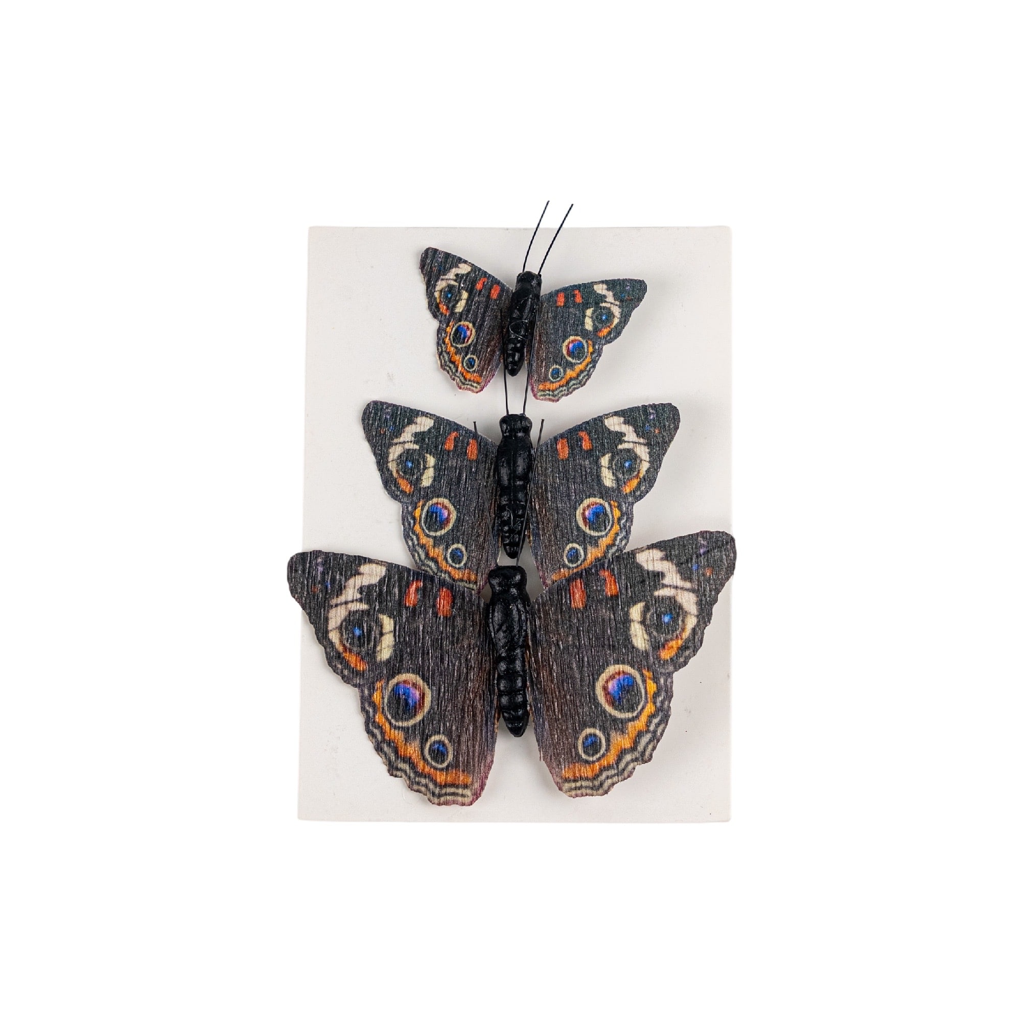 Common Buckeye Butterfly Accents, 3ct. by Ashland®