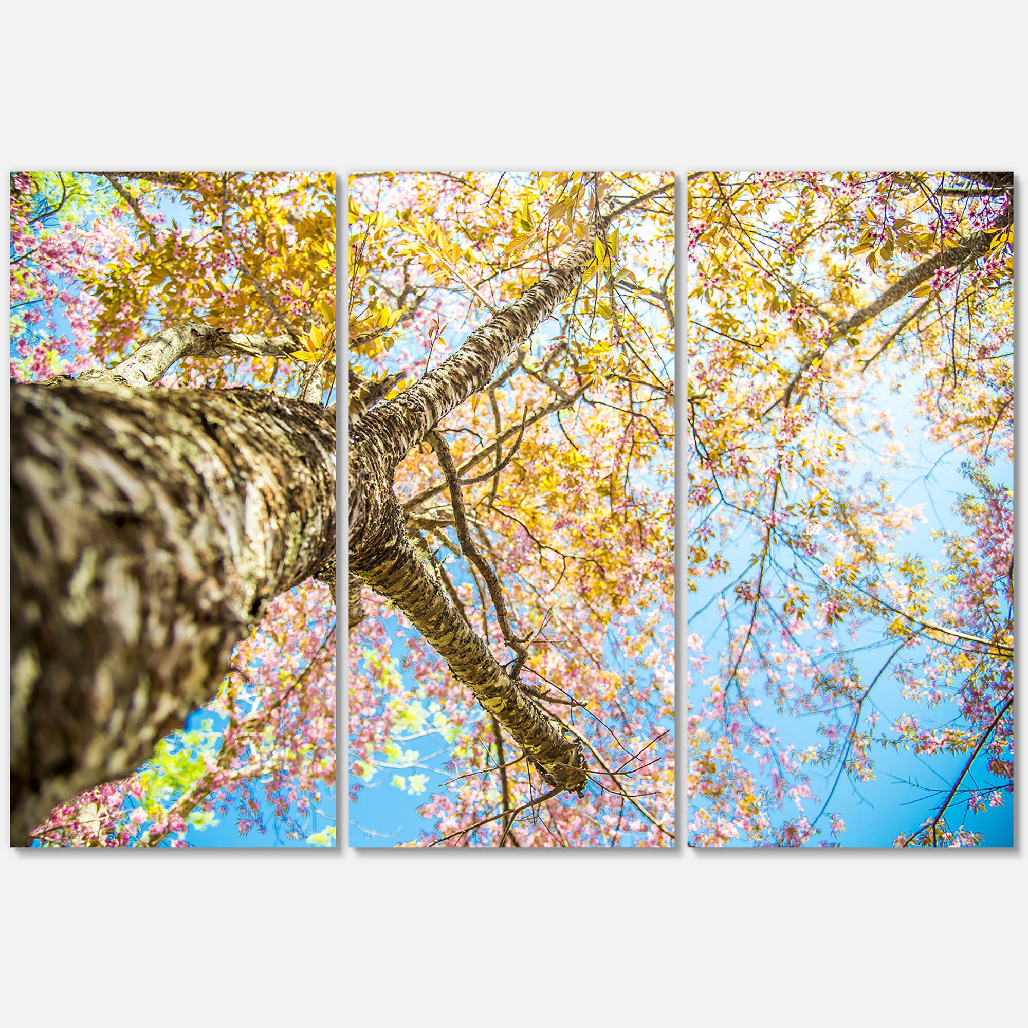 Designart - Under Branch of Yellow Cherry Tree - Trees Canvas Art Print