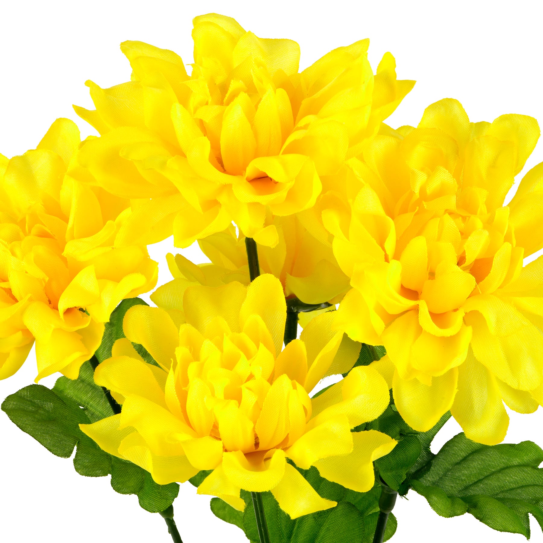 12" Dahlia Bush by Ashland®