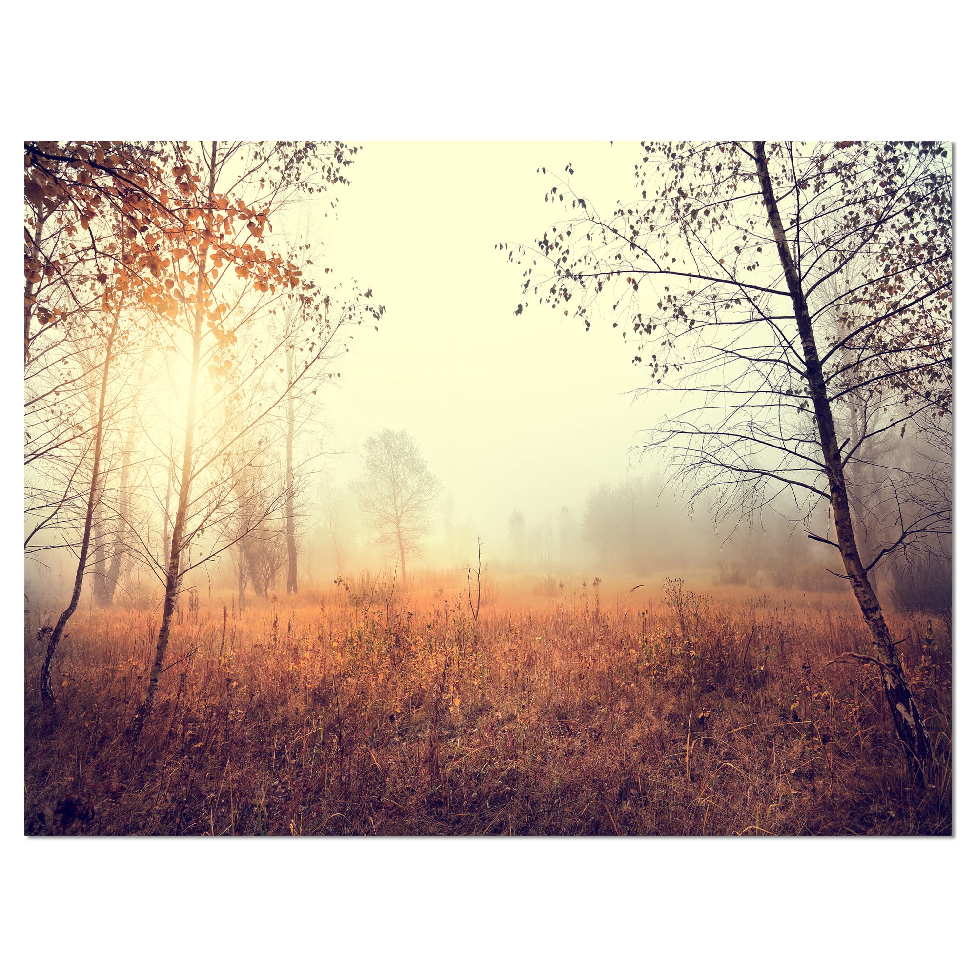 Designart - Charming Rural Field in Morning - Extra Large Wall Art Landscape