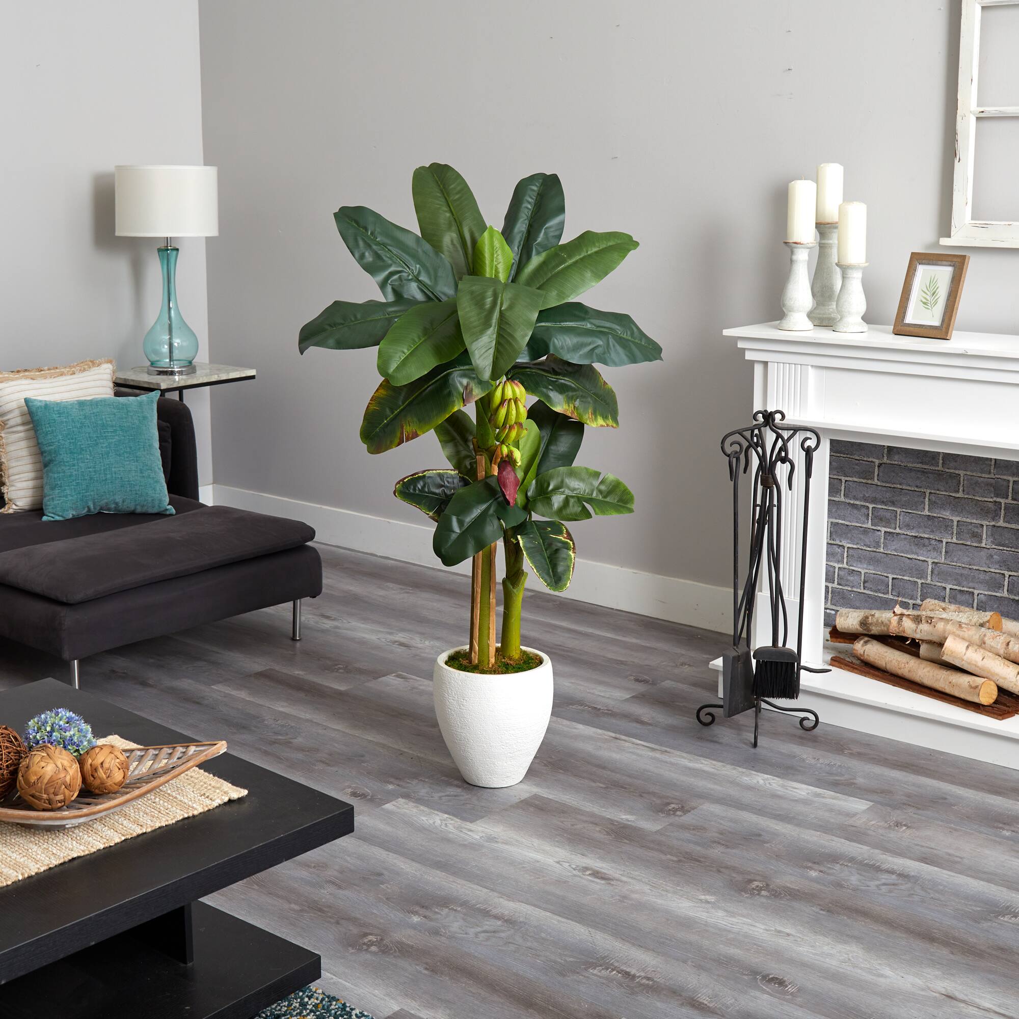 5ft. Double Stalk Banana Tree in White Planter