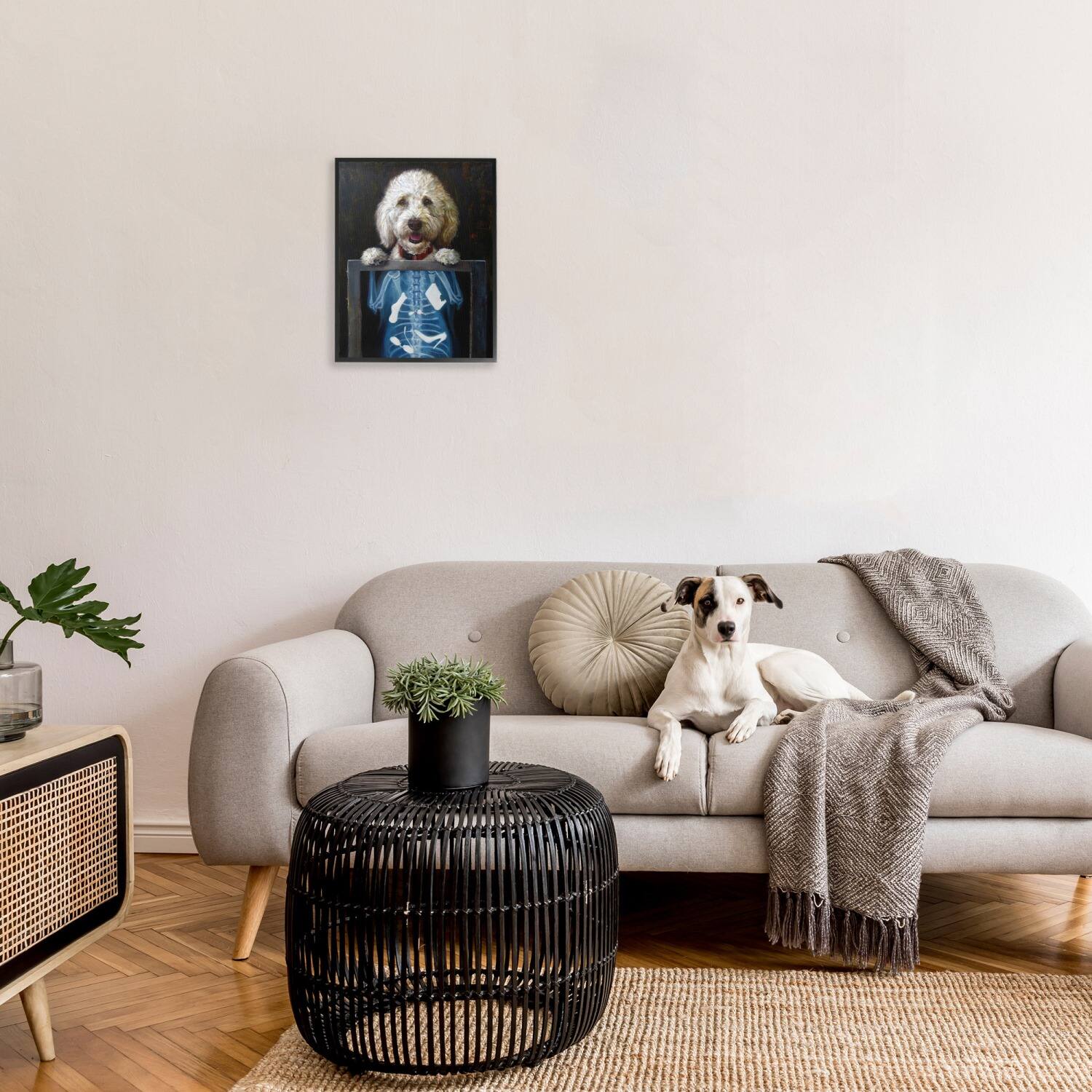 Stupell Industries Funny Dog X-Ray Snacks Framed Giclee Art