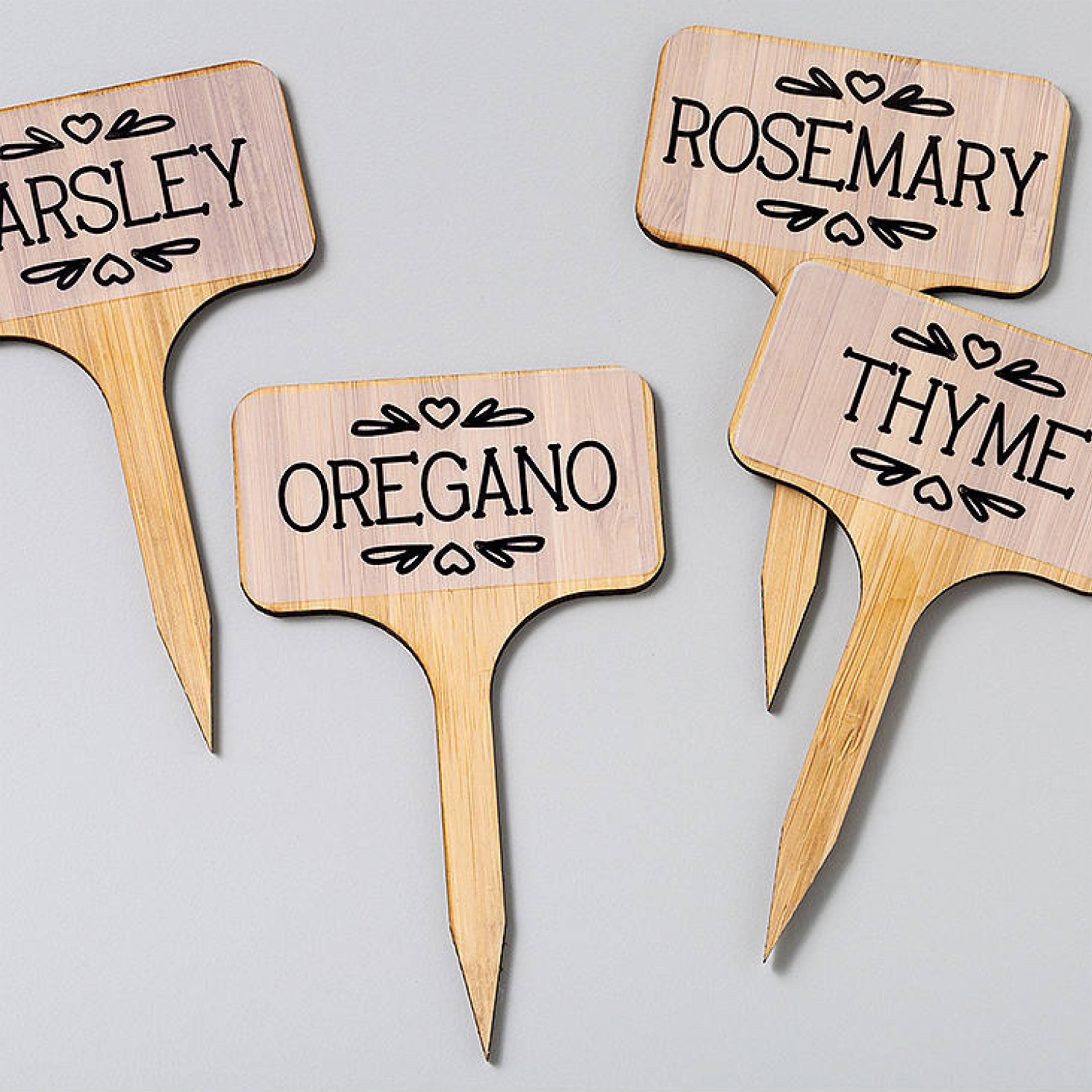 Cricut Joy™ DIY Label Kit