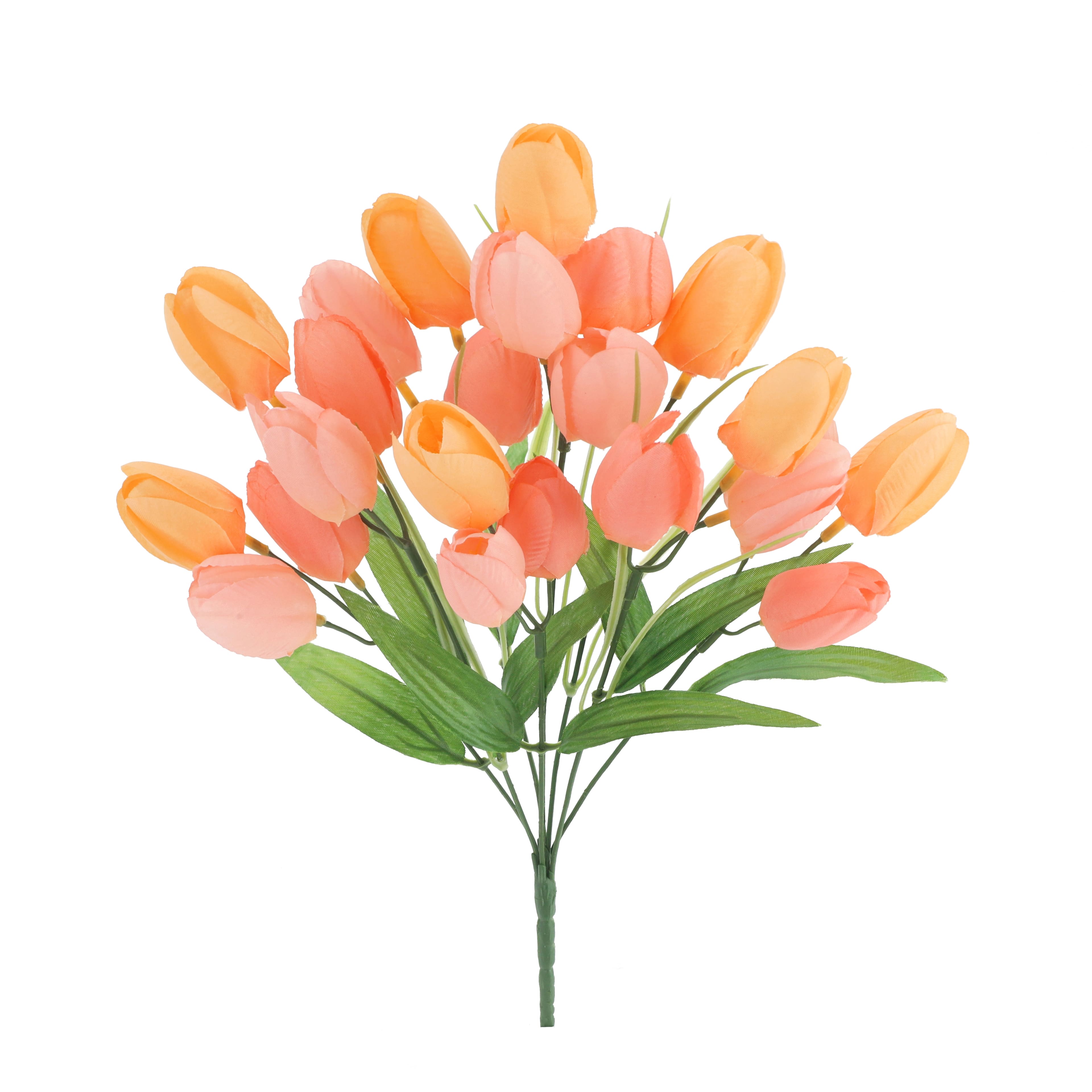 216 Pack: 14" Tulip Bush by Ashland
