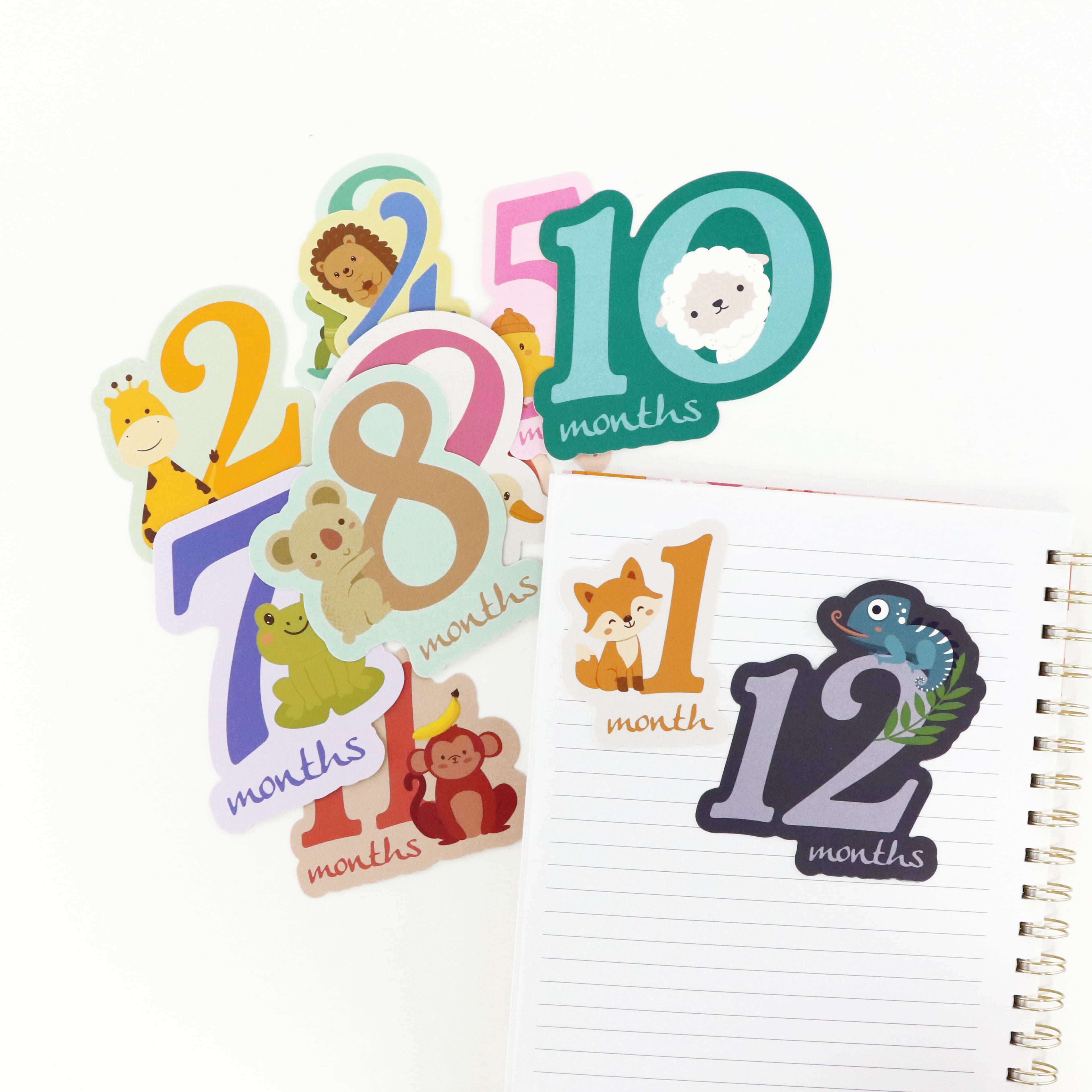 Baby Months Die Cut Stickers by Recollections™