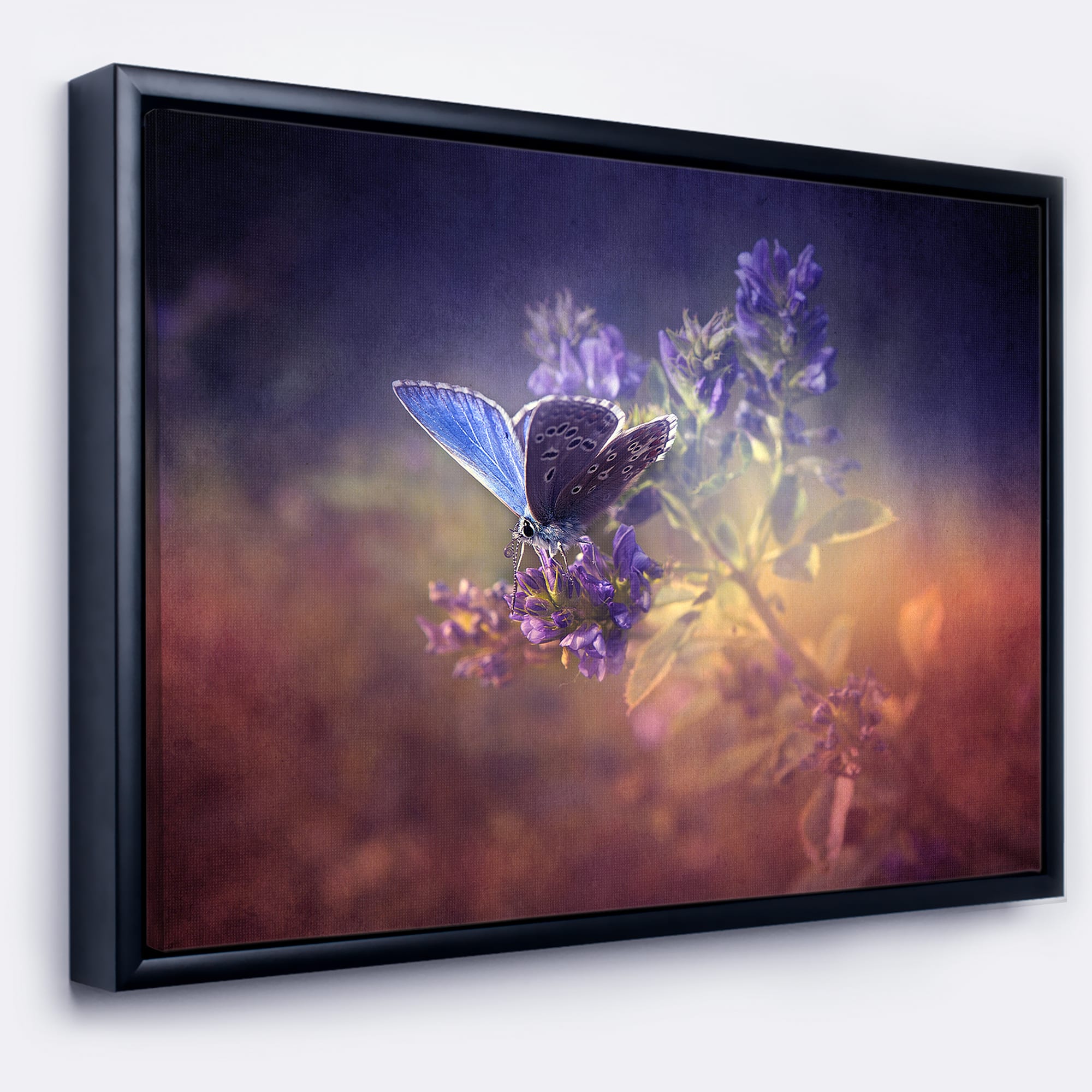 Designart - Vintage Butterfly - Floral Art Canvas Print in Black Frame