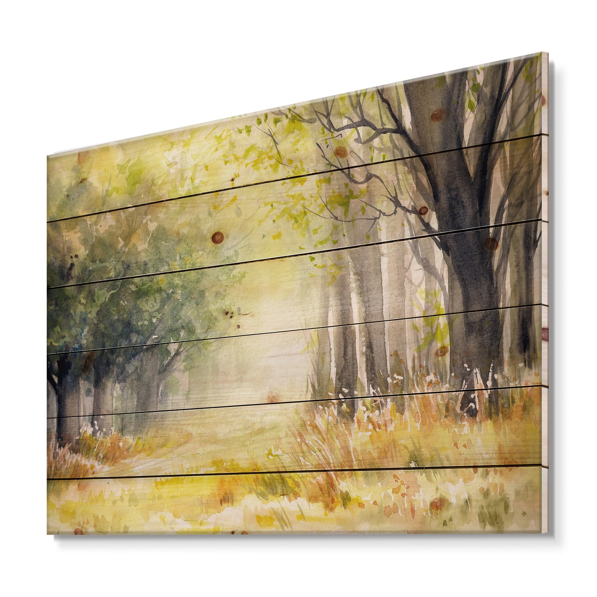 Designart - Bright Sunshine Through The Forest Trees IV