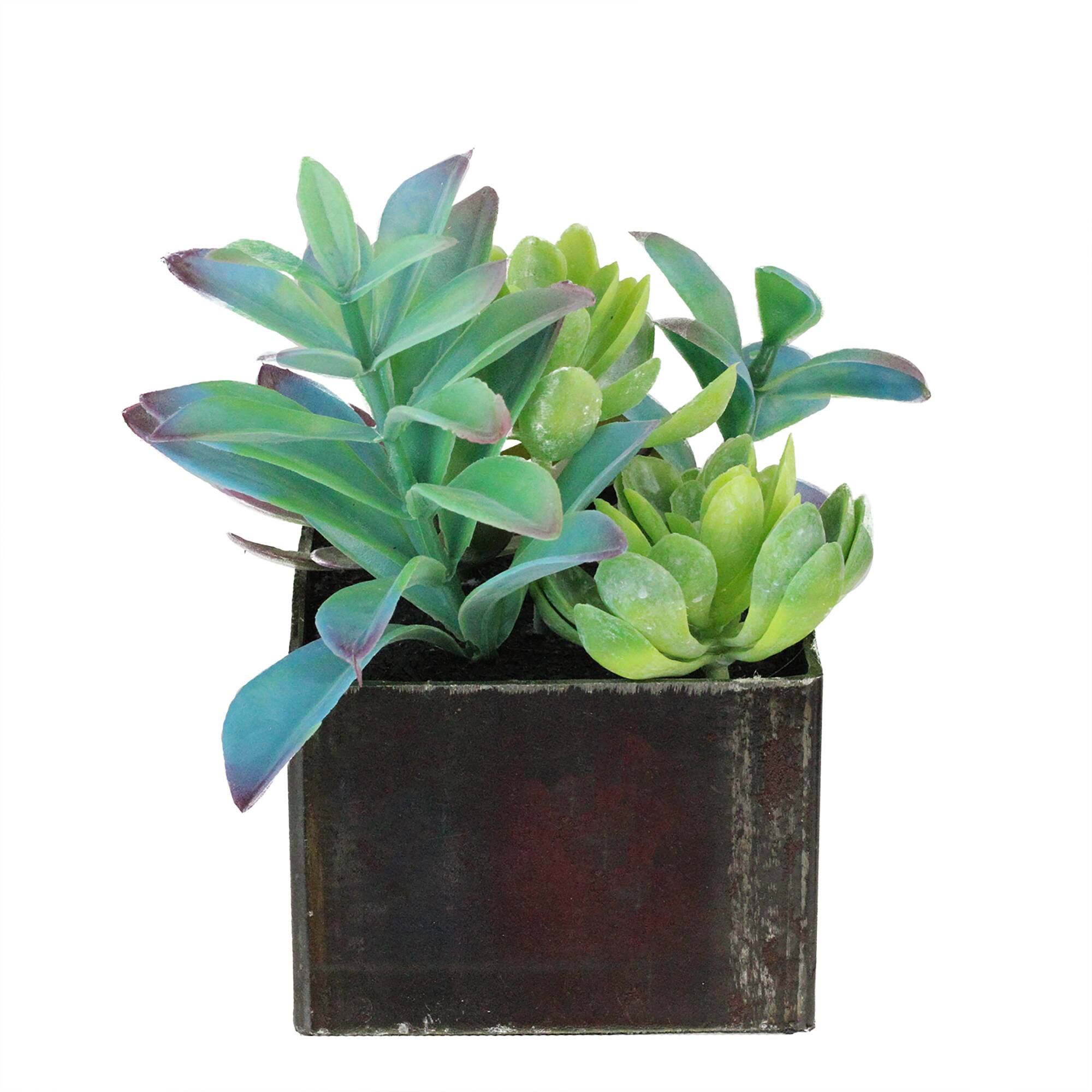 7" Green Artificial Succulents in Square Pot