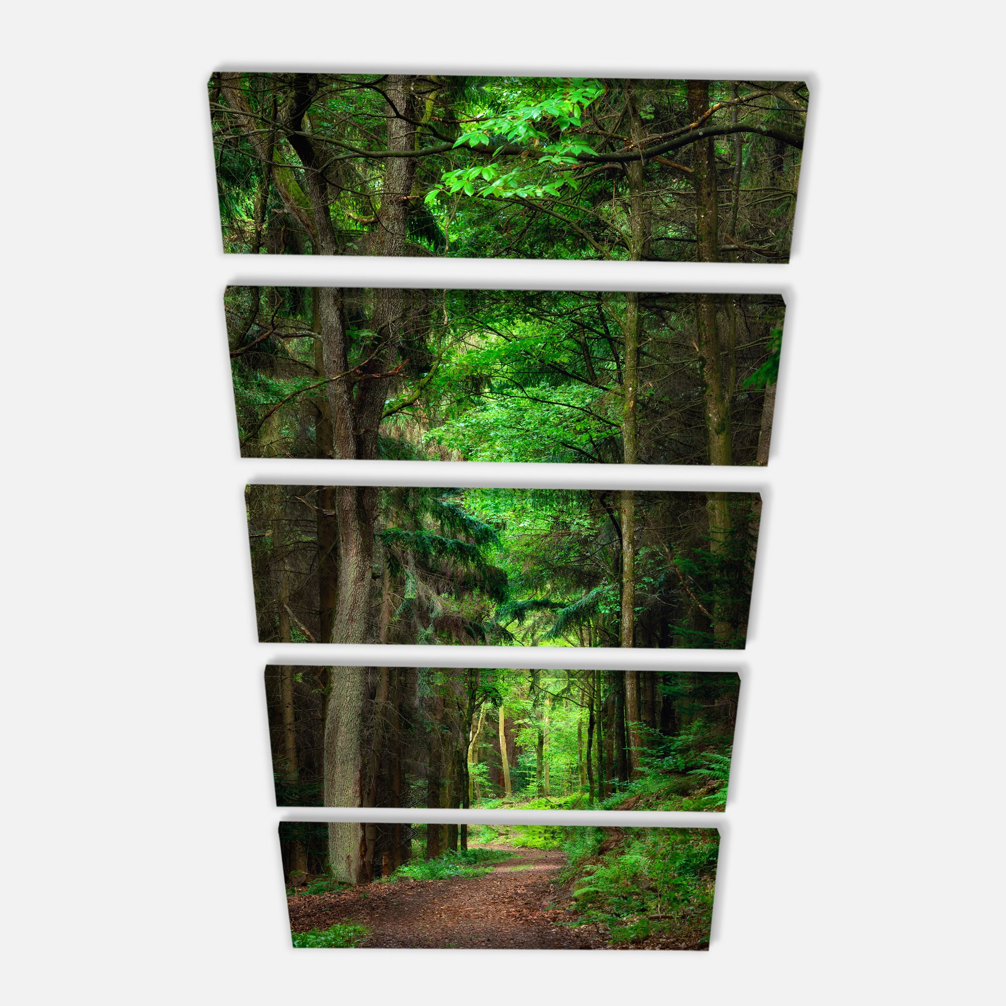 Designart - Dreamy Greenery in Dense Forest - Forest Canvas Art Print