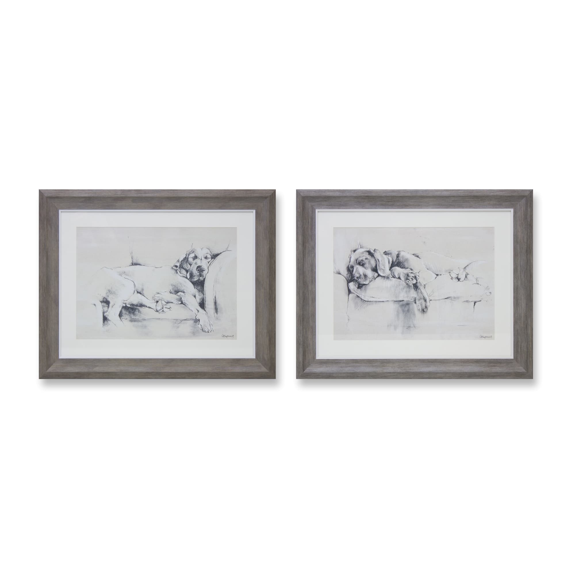 Framed Dog Wall Print Set