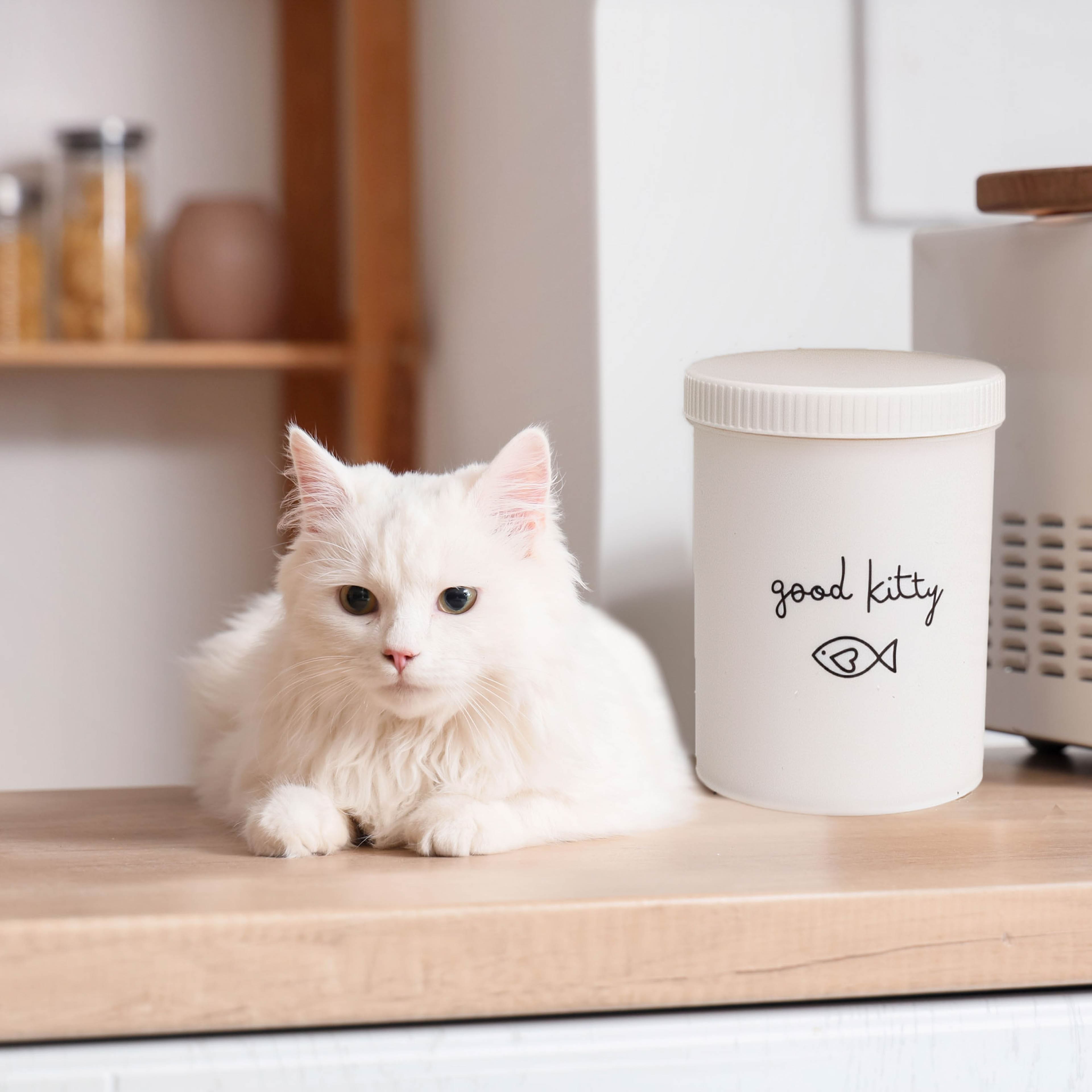 7" Good Kitty Treat Jar