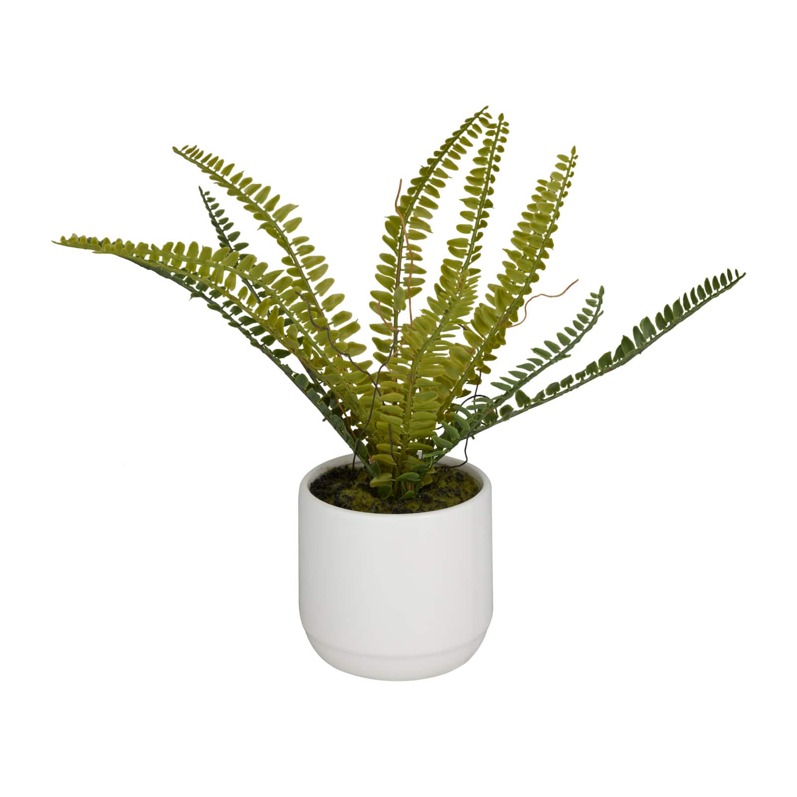 Green Ceramic Contemporary Artificial Foliage, 12" x 15" x 10"
