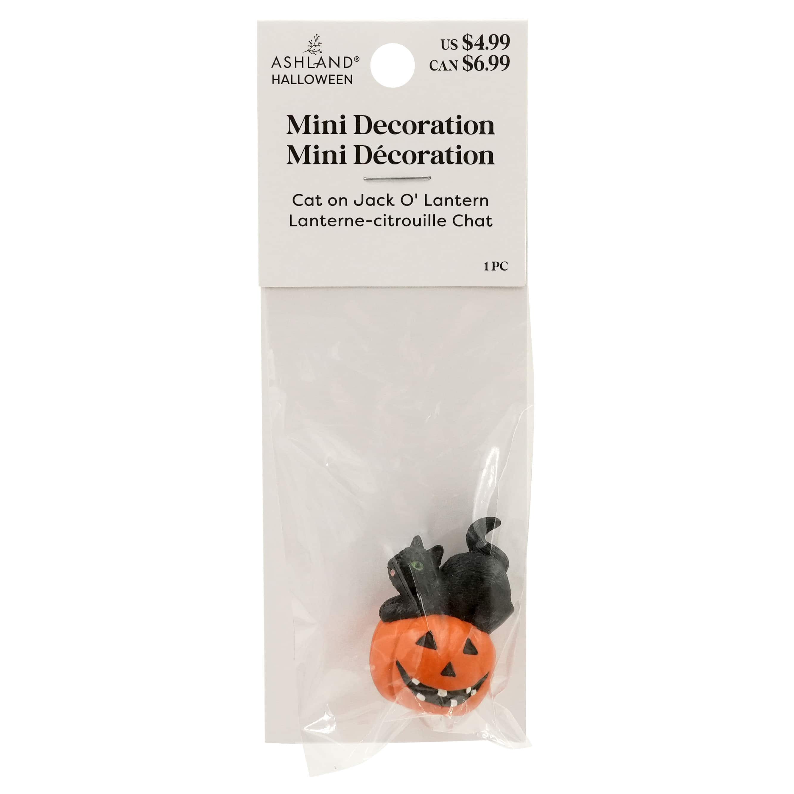 Mini Black Cat on Jack-o'-Lantern by Ashland®