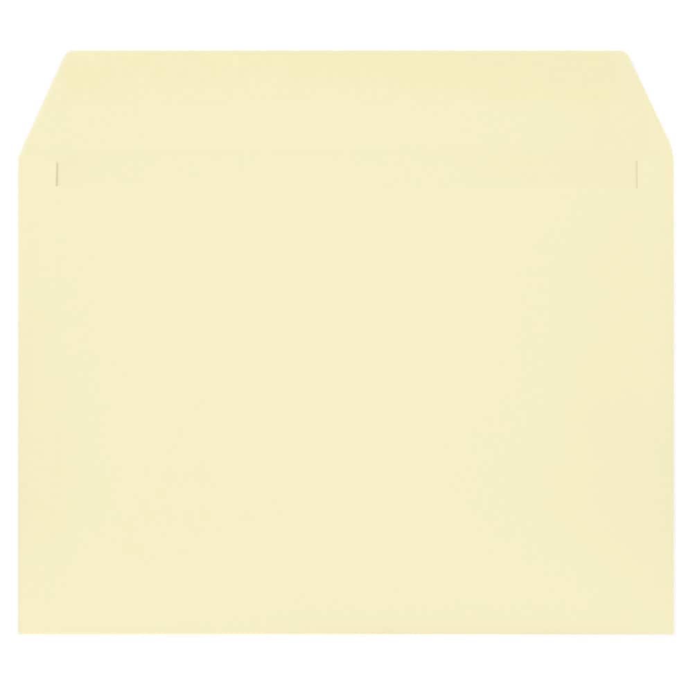 JAM Paper Strathmore 9" x 12" Booklet Wove Envelopes, 25ct.