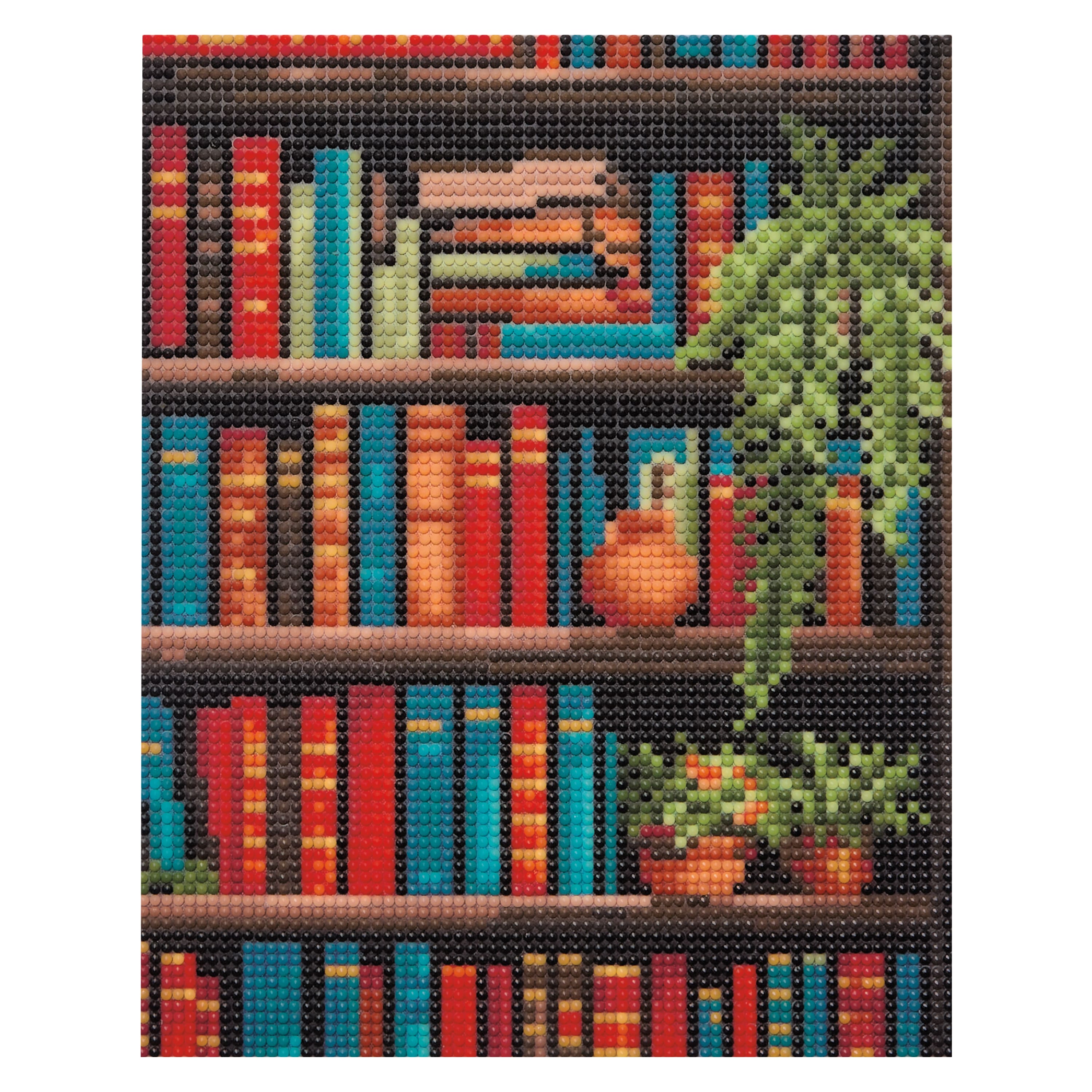 8" x 10" Bookcase Diamond Art Kit by Make Market®