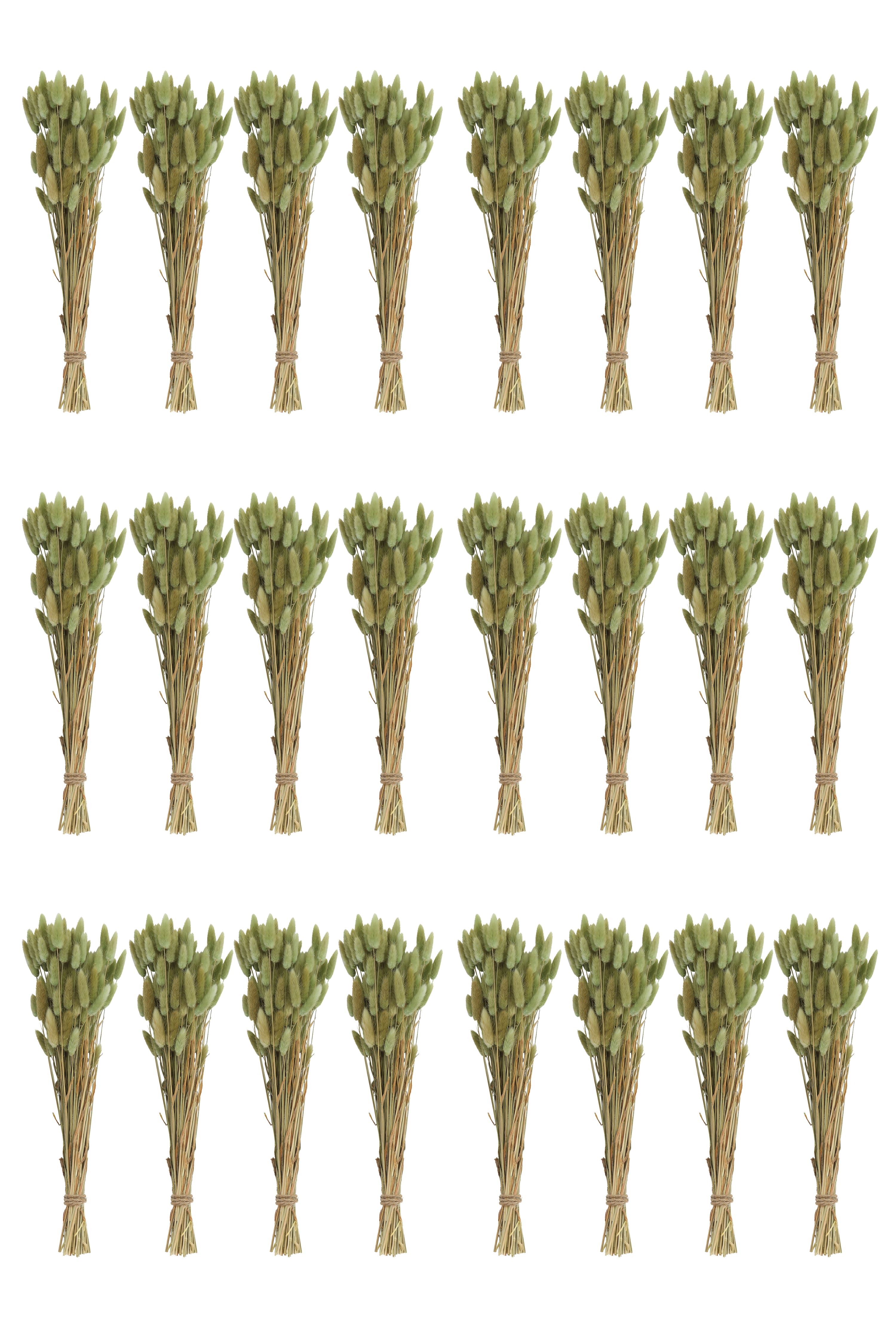Hello Honey® 15" Dried Natural Bunny Tail Grass Bunches, 24ct.