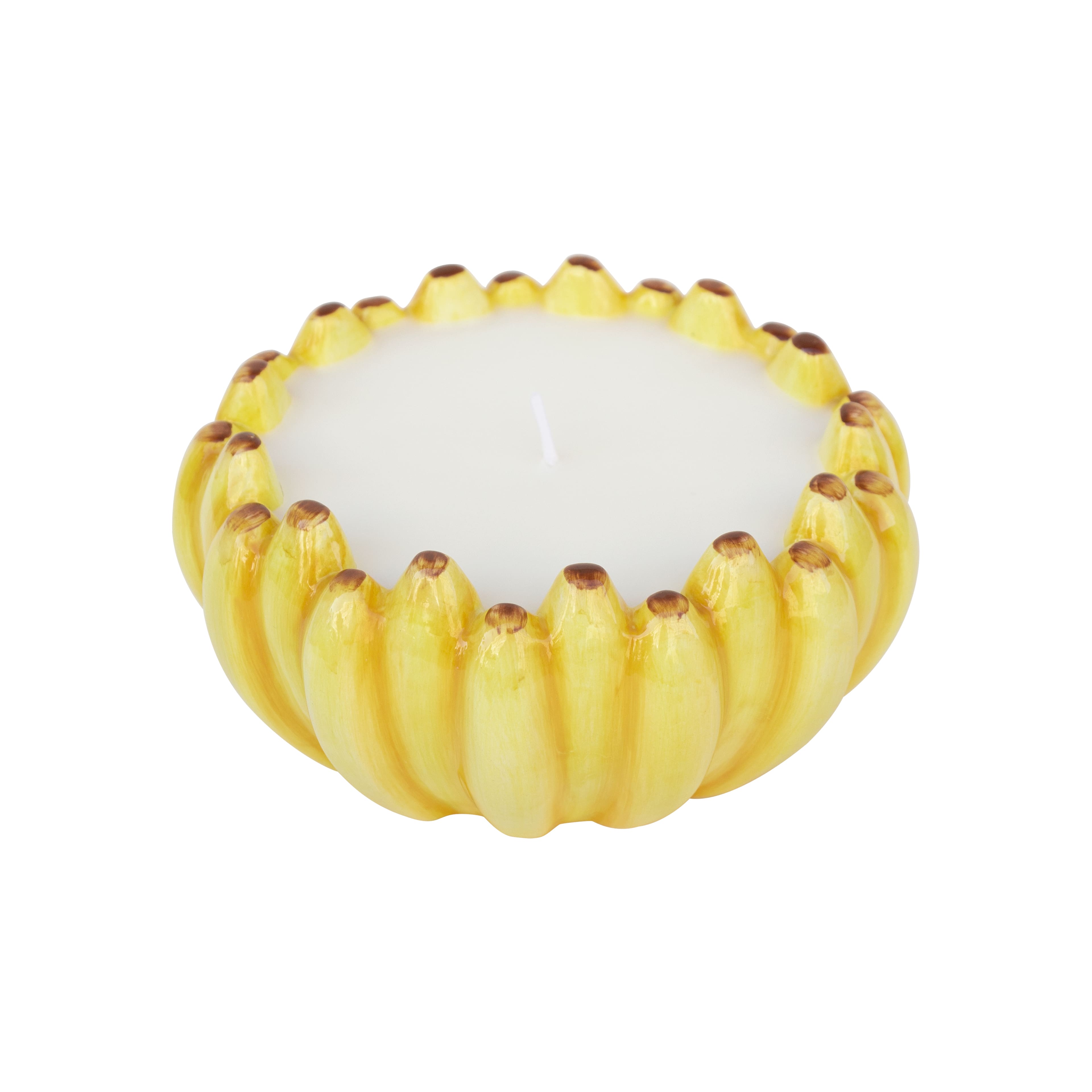6oz. Citronella, Lemon & Thyme Scented Candle by Ashland®