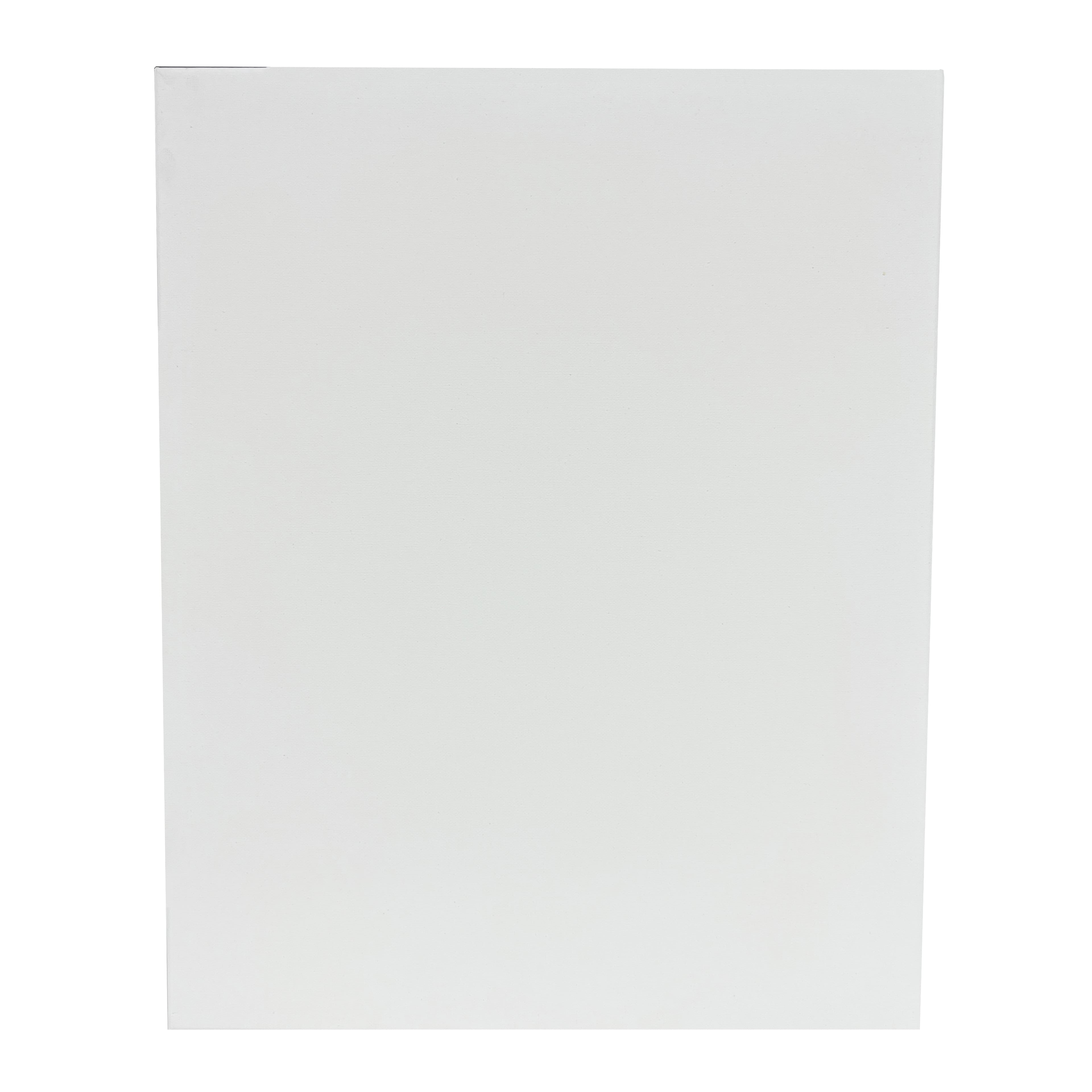 4 Packs: 5 ct. (20 total) 16" x 20" Super Value Canvas by Artist's Loft®