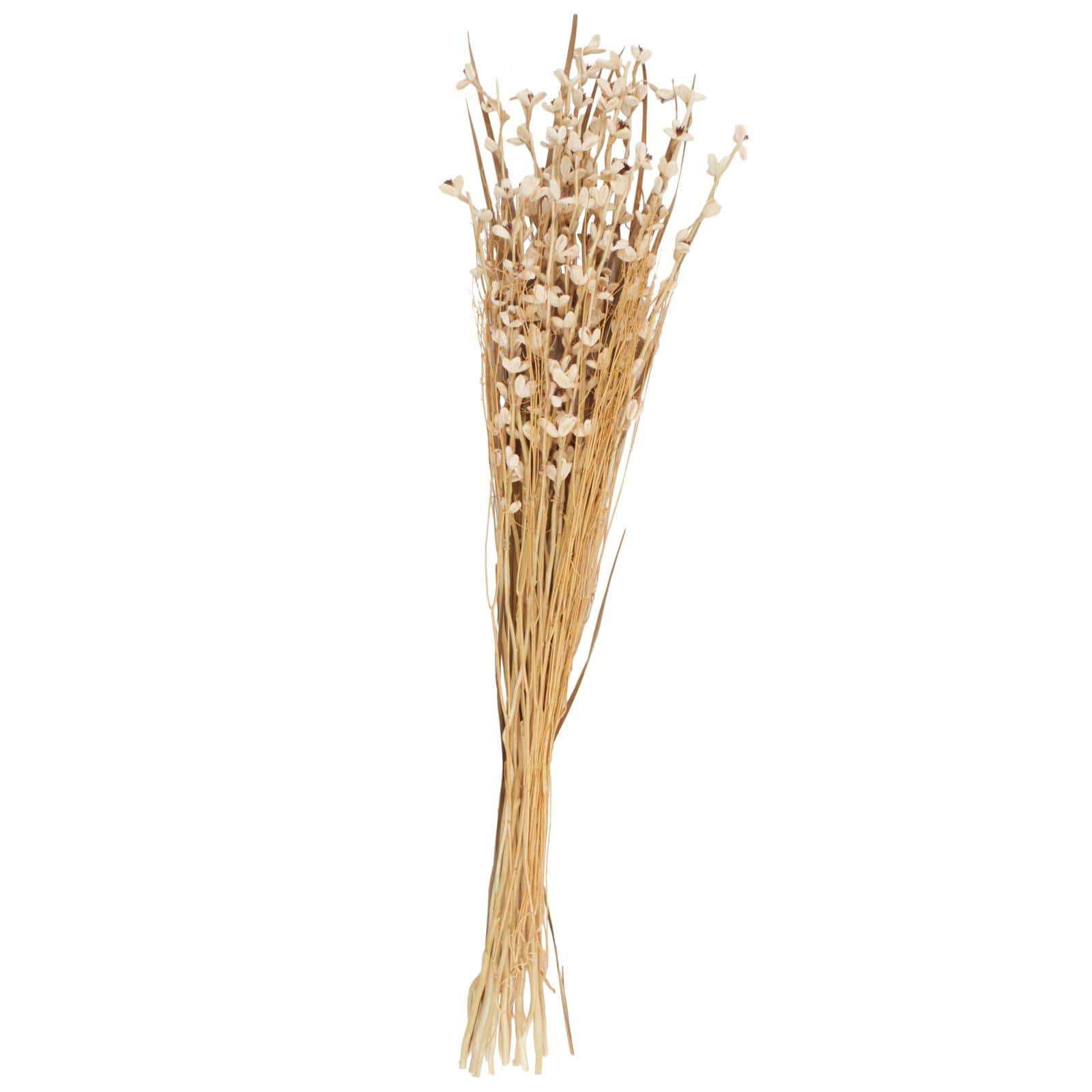 41" Cream Dried Plant Floral Bouquet Natural Foliage