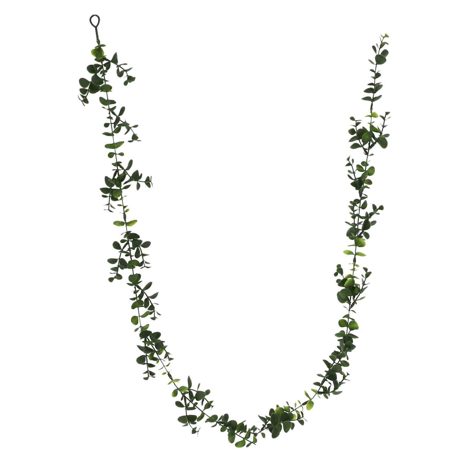 5ft. Eucalyptus Coiled Garland by Ashland®