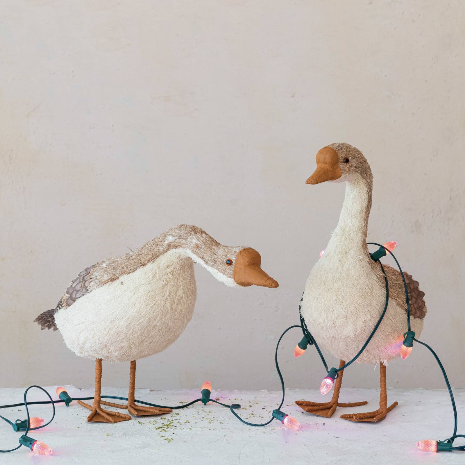 Hello Honey® 21.5" Dried Grass & Foam Goose